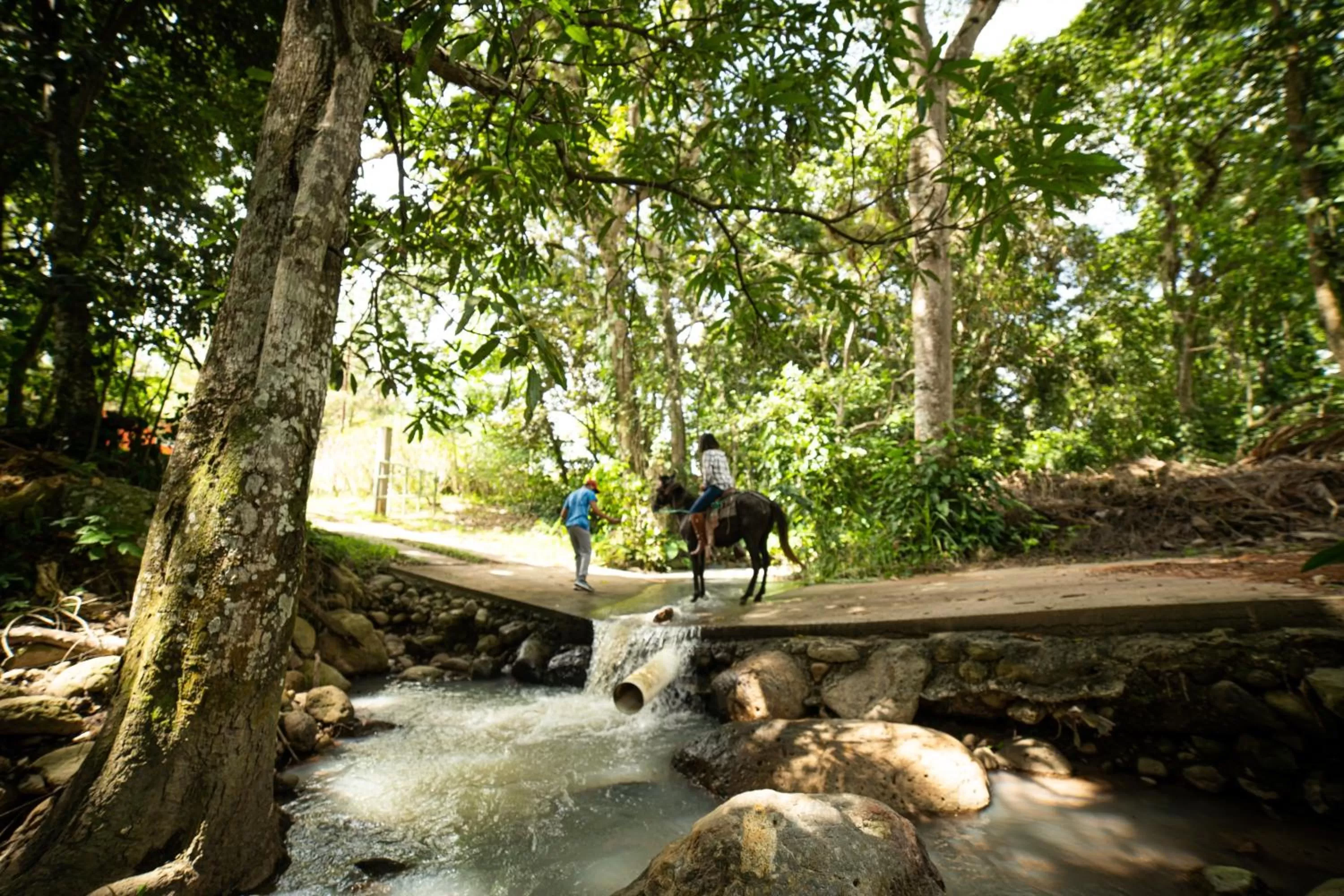 People in Hotel de Campo Villa de Ada