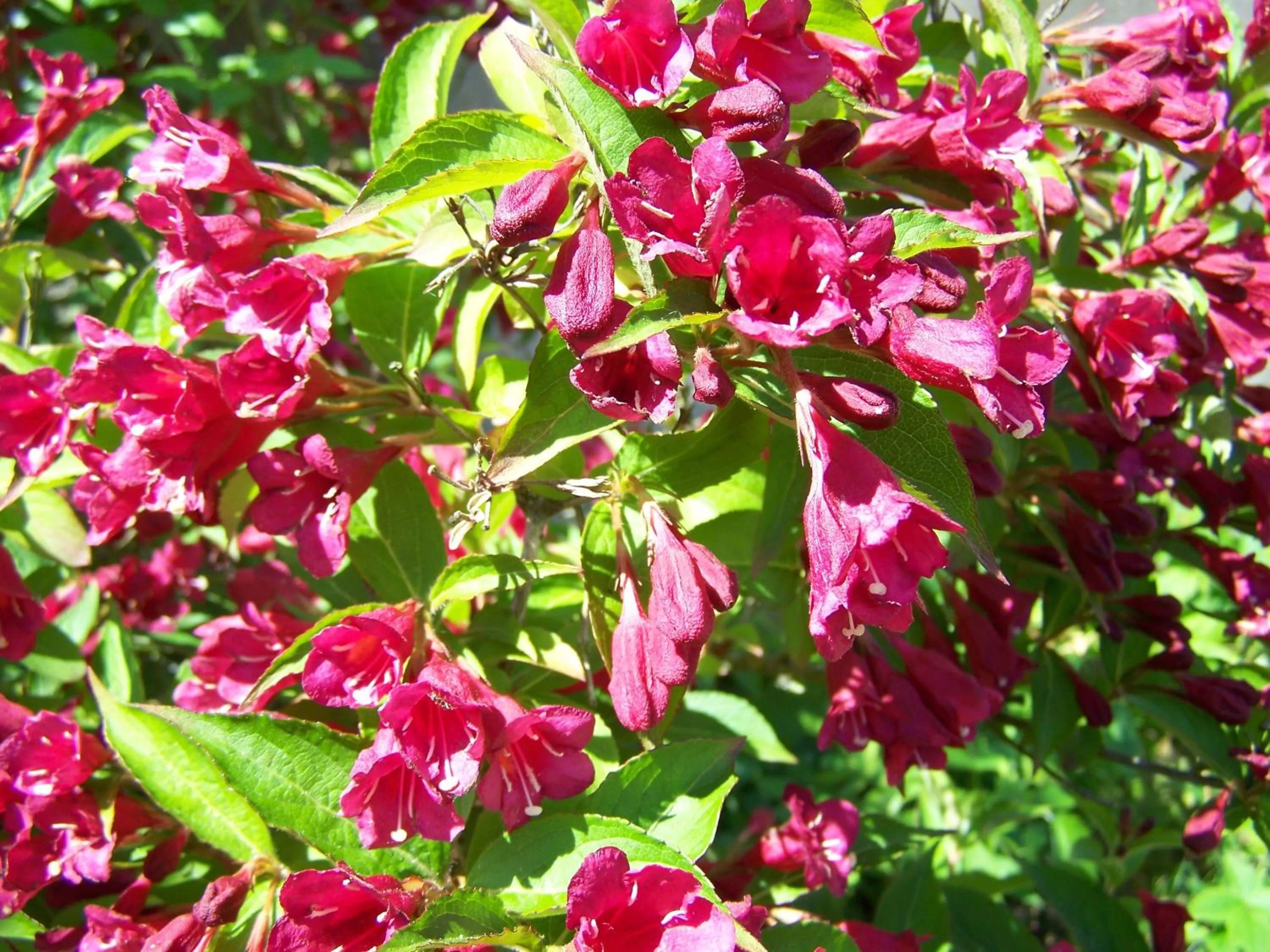 Natural landscape in Hôtel Le Verger