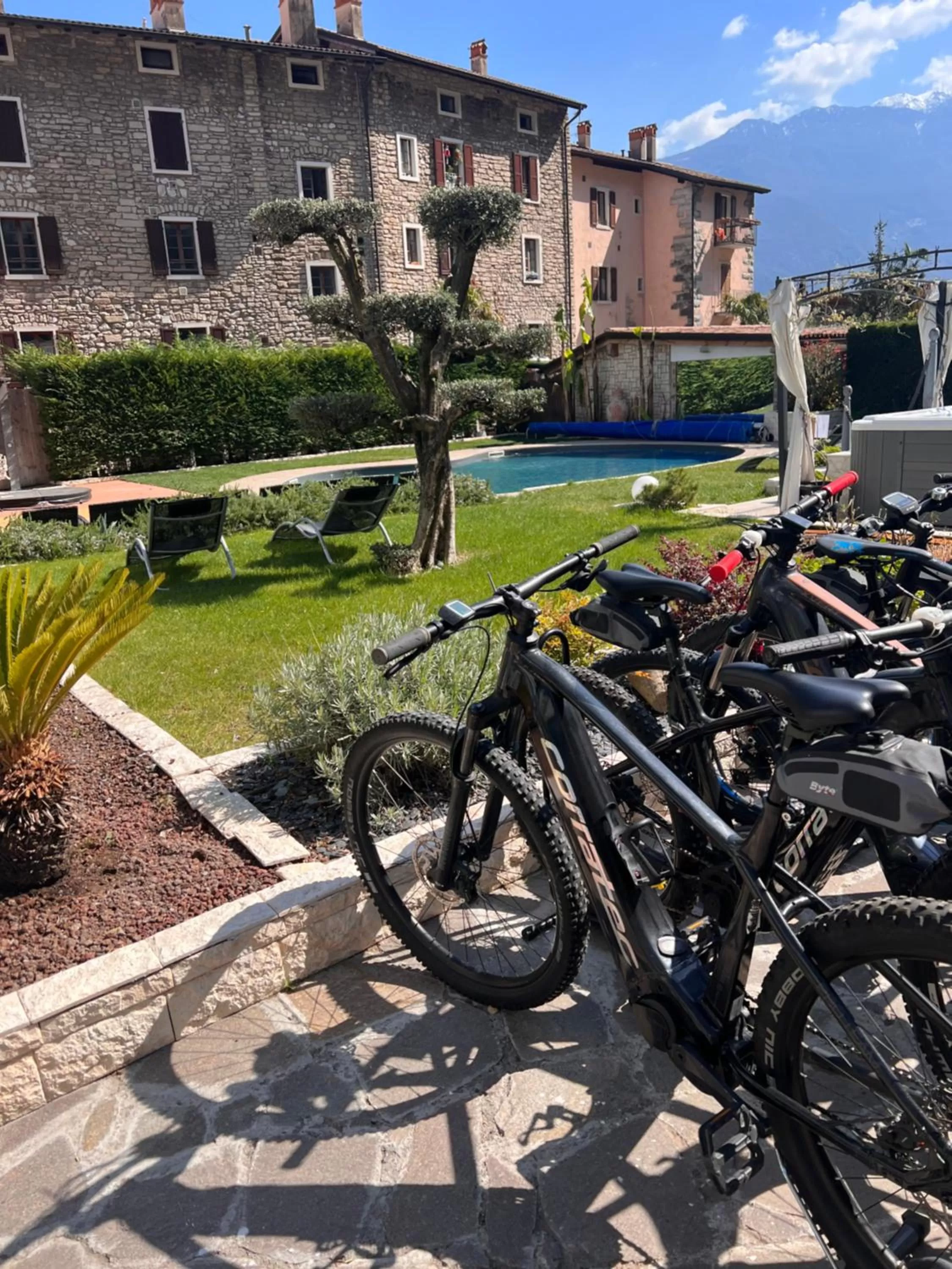 Garden in Hotel Canarino