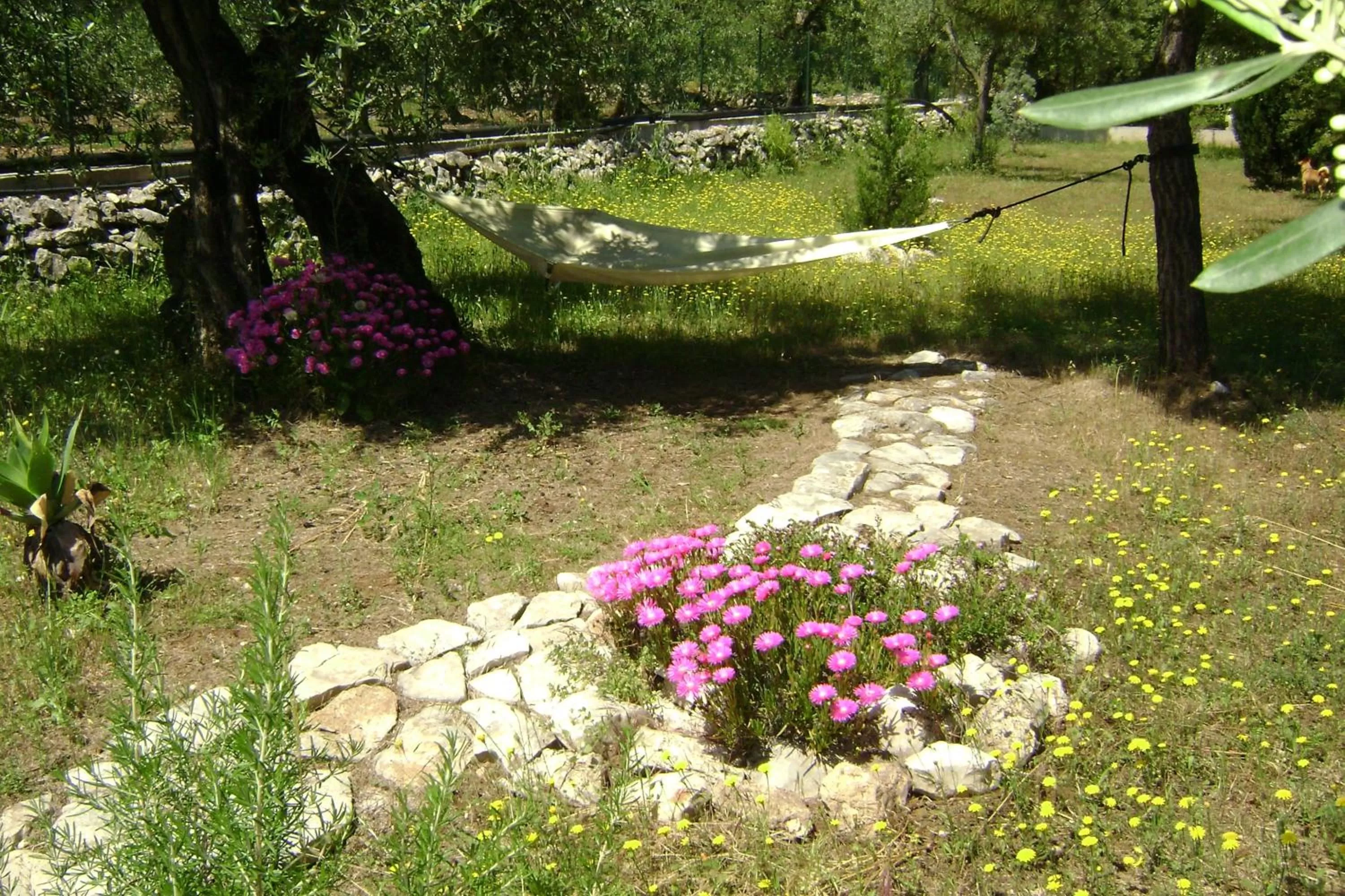 Garden in B&B Villa Mediterranea with parking space
