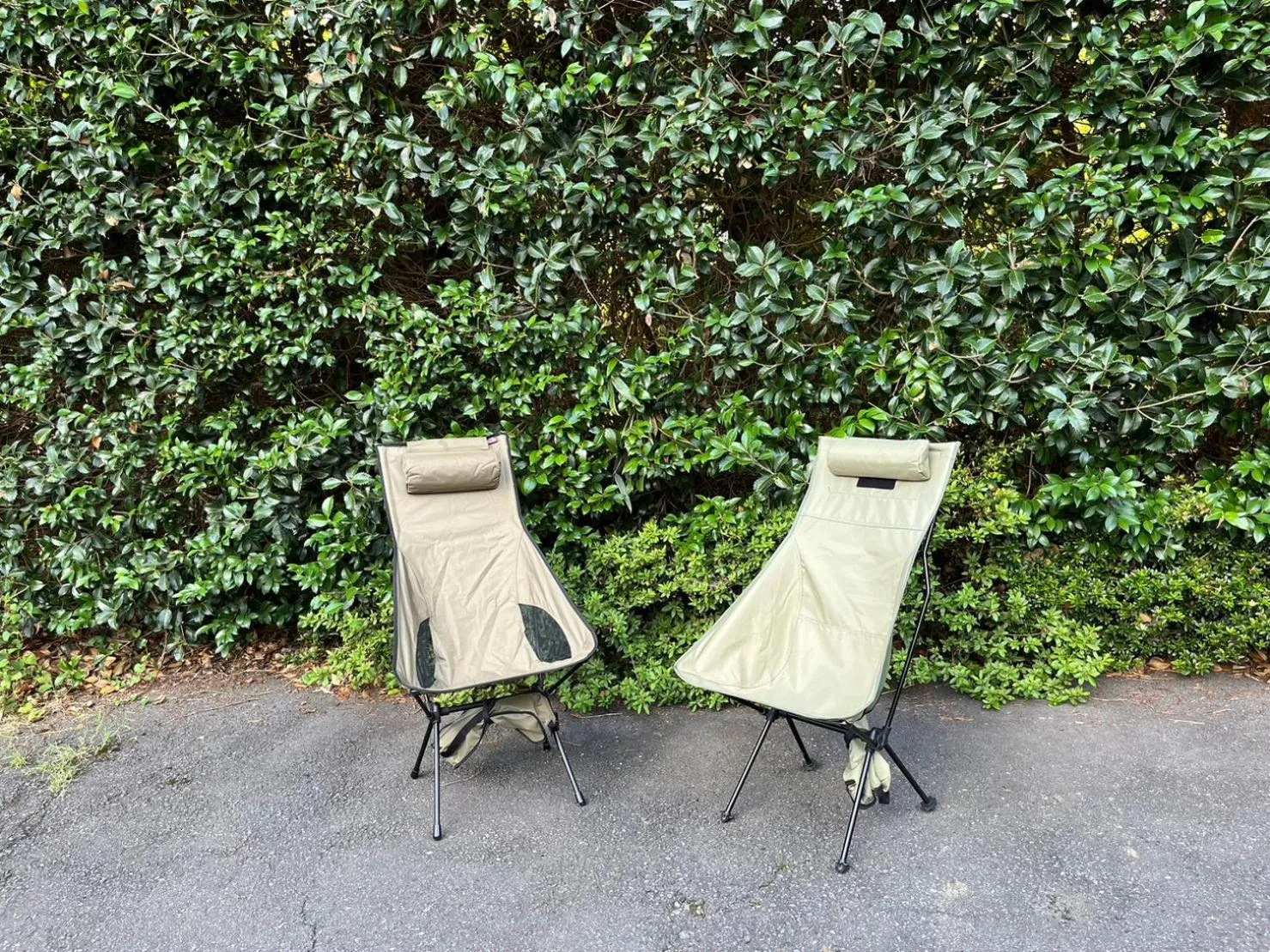 Day in Fuji-Hakone Guest House