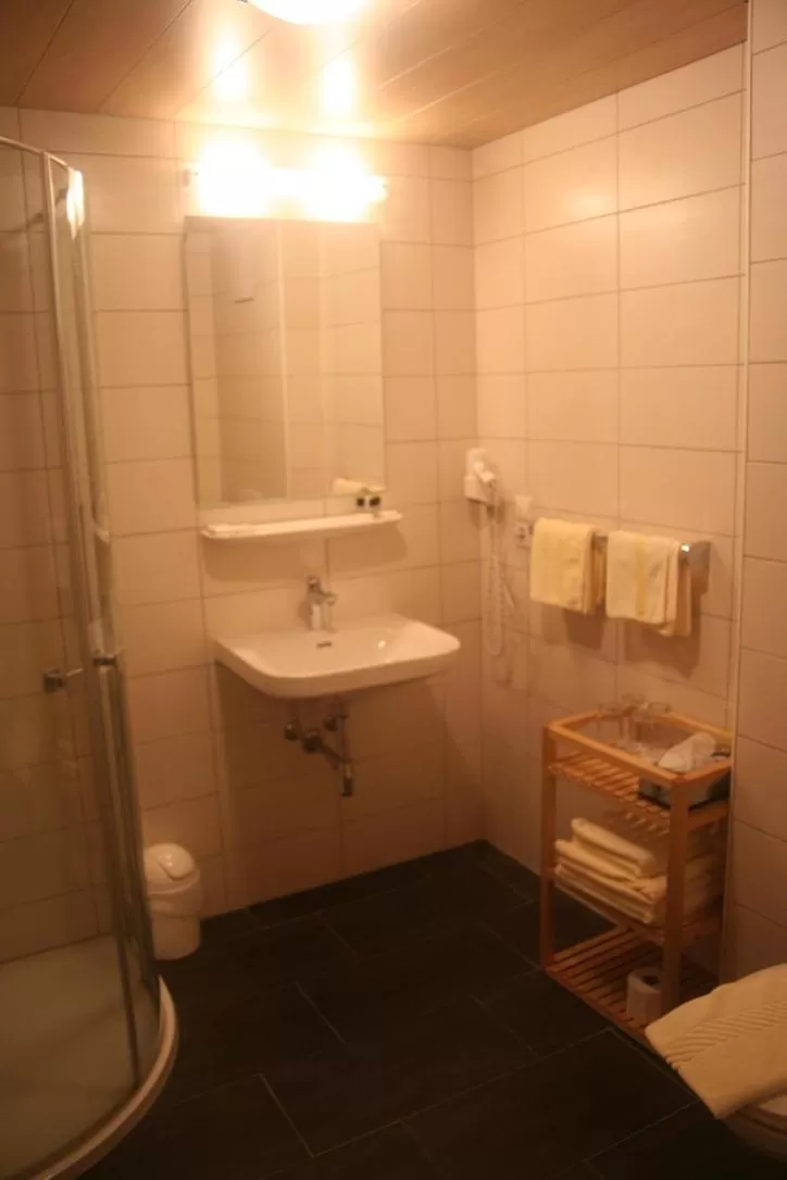 Bathroom in Hotel Engl