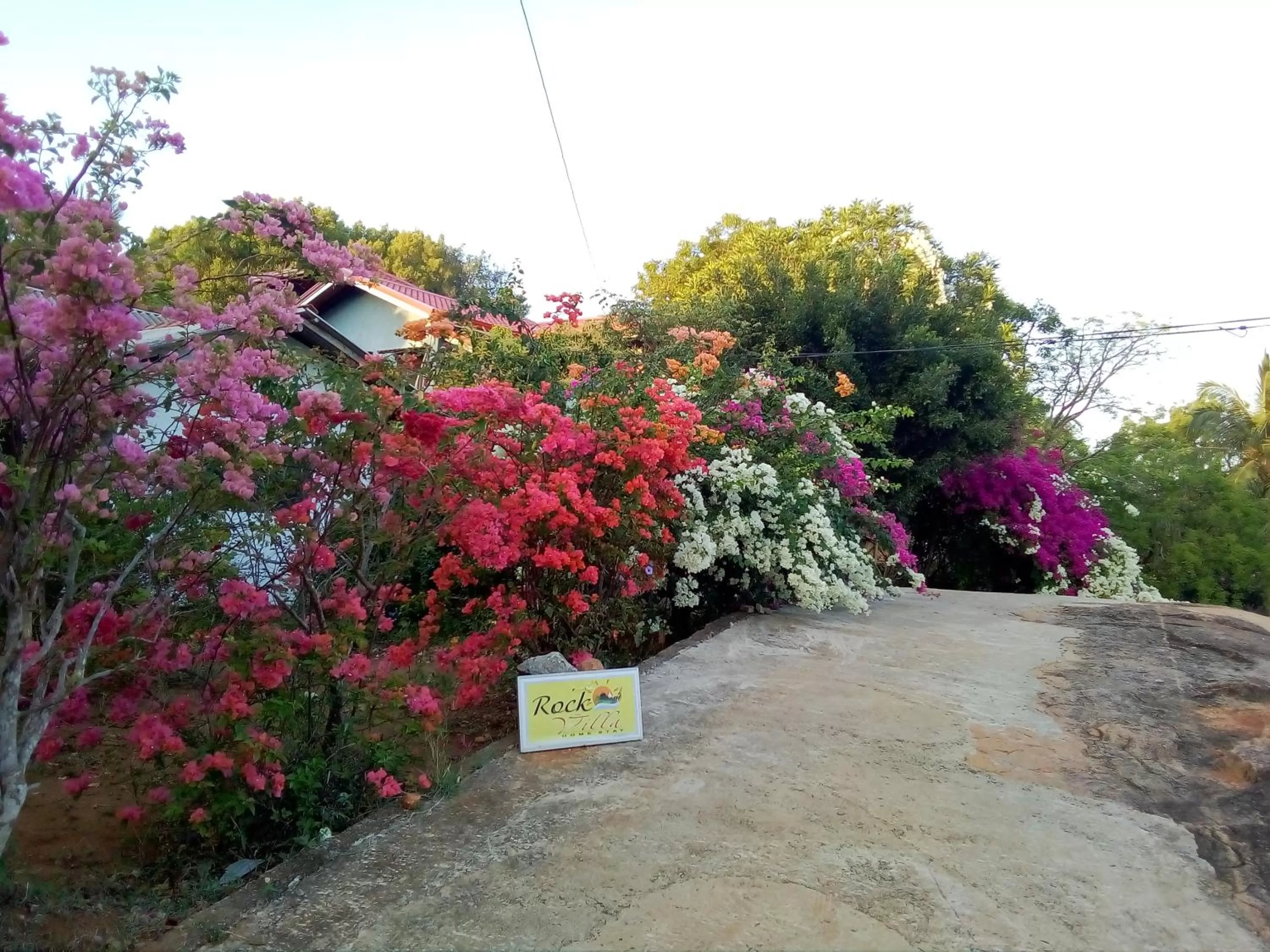 Property Building in Rockvilla homestay and BNB