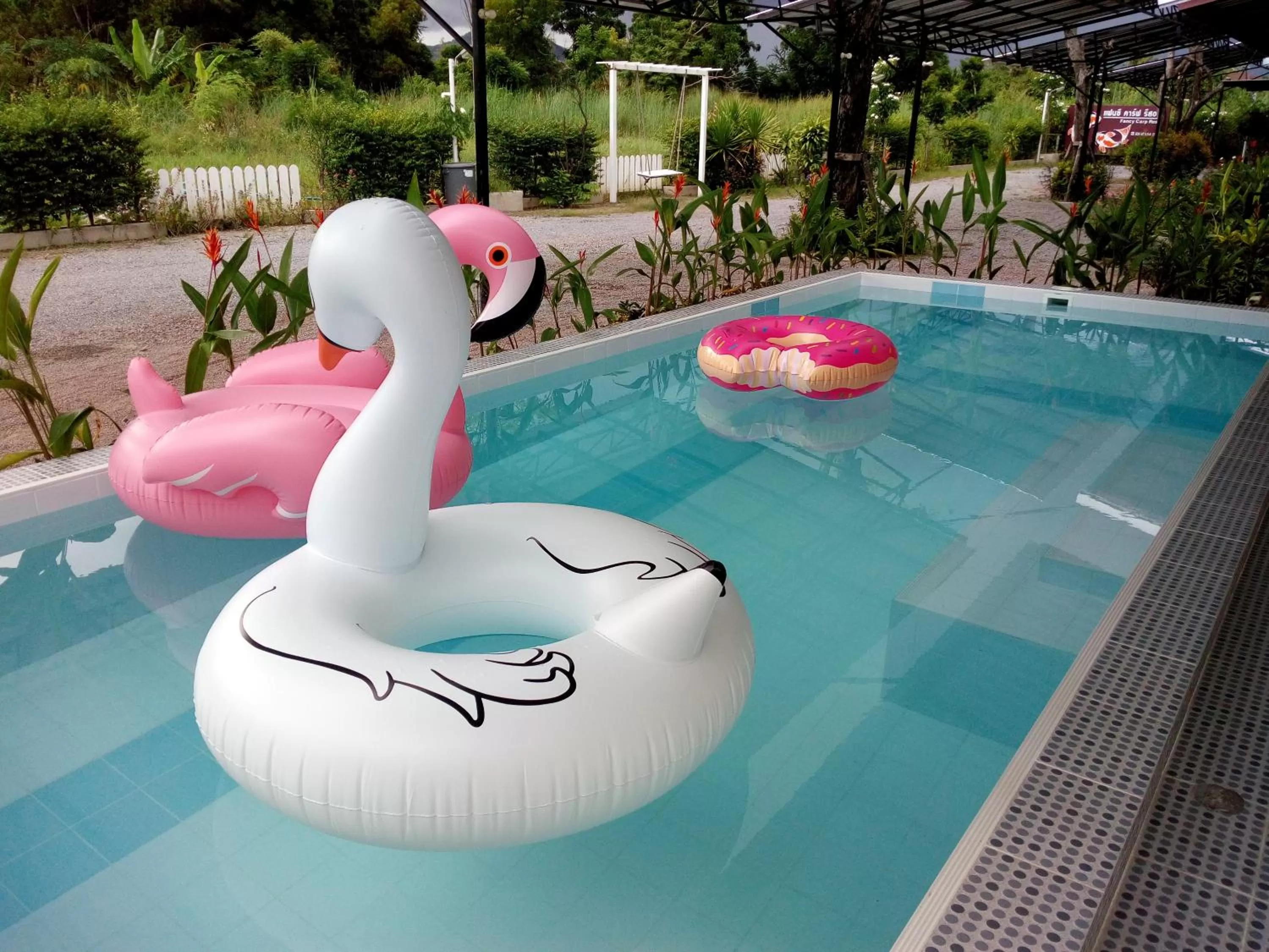 Swimming Pool in Fancy Carp Resort