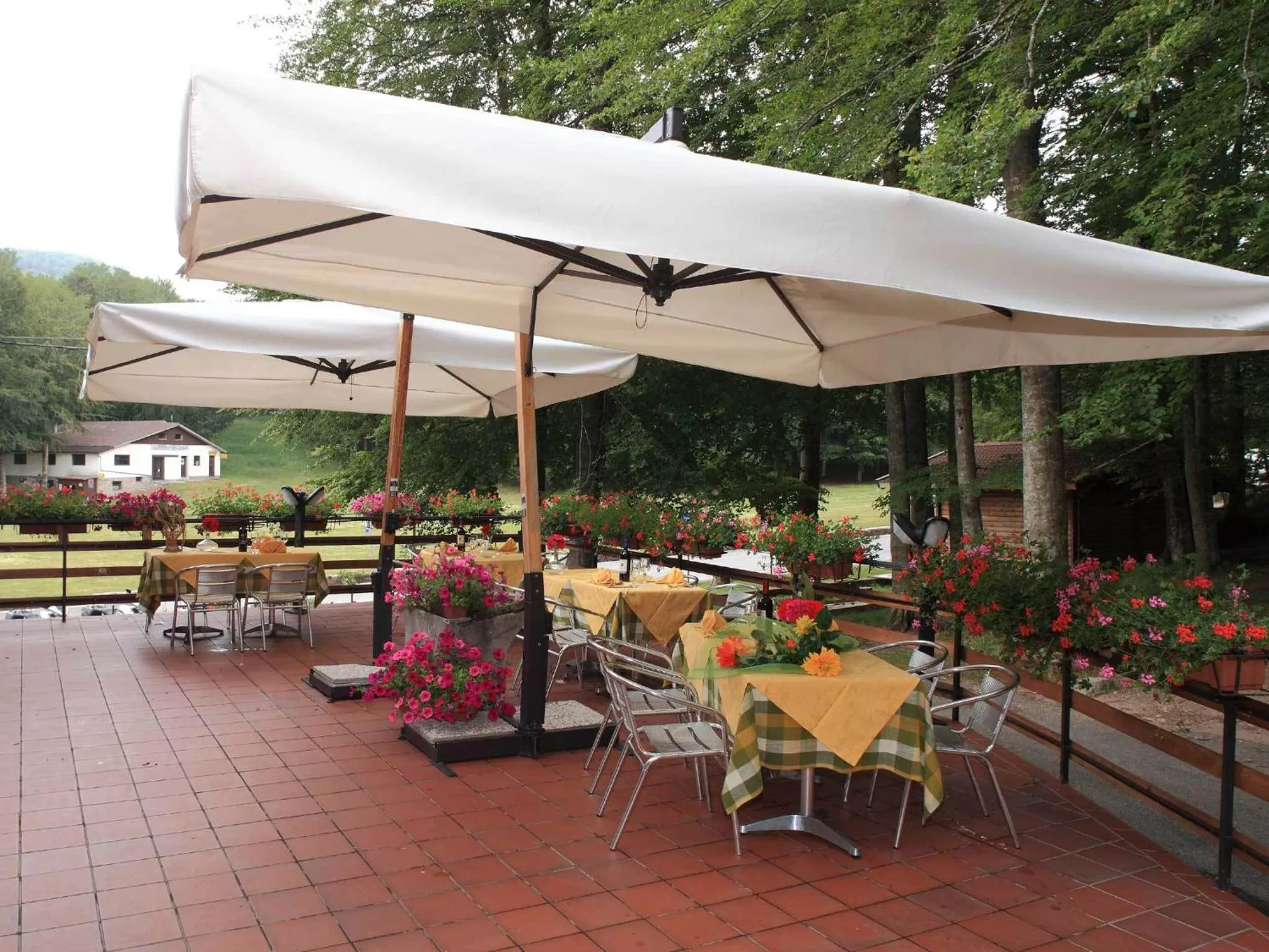 Restaurant/places to eat in Albergo Le Macinaie - Monte Amiata