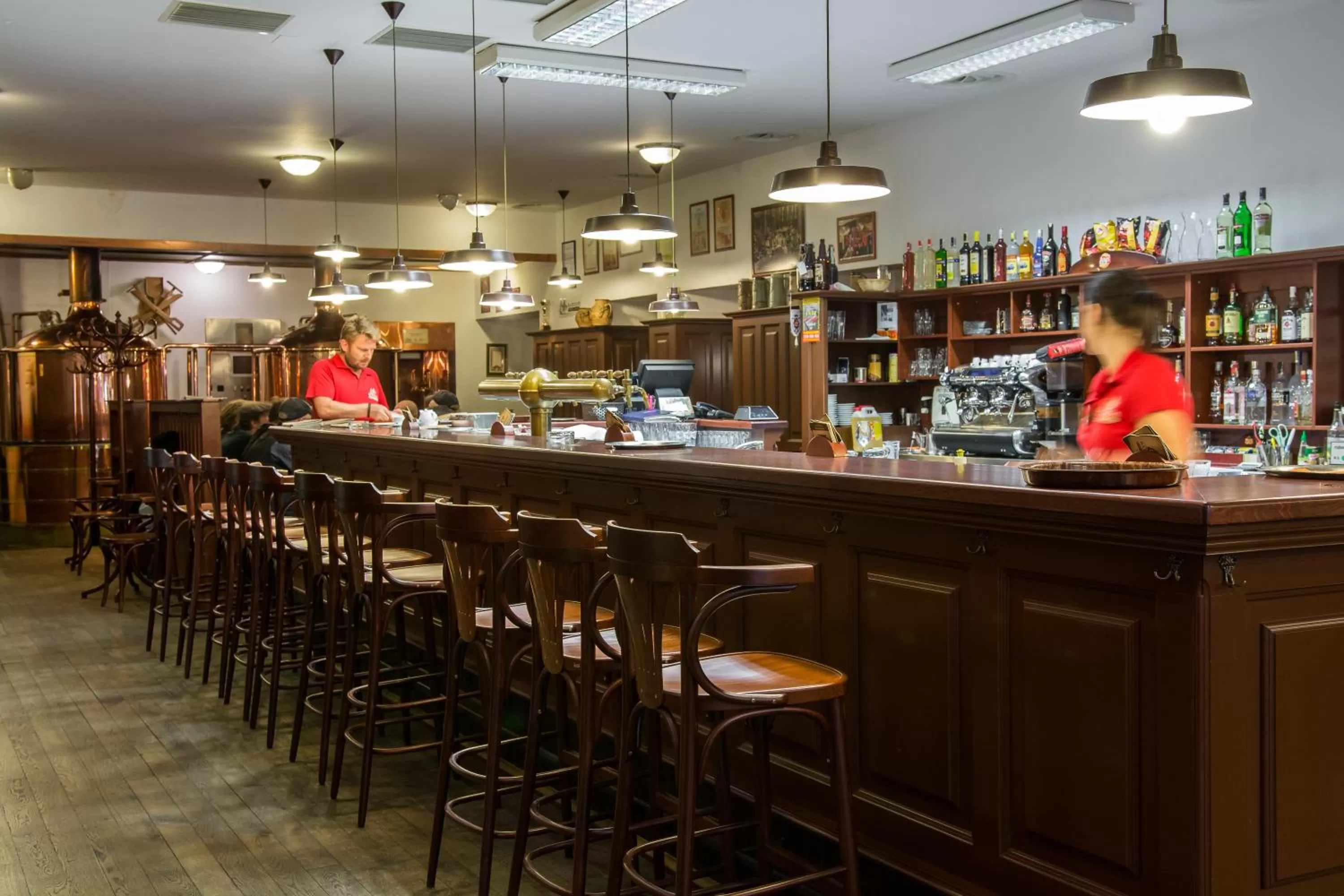 Restaurant/places to eat, Lounge/Bar in Pivovar Hotel Na Rychtě