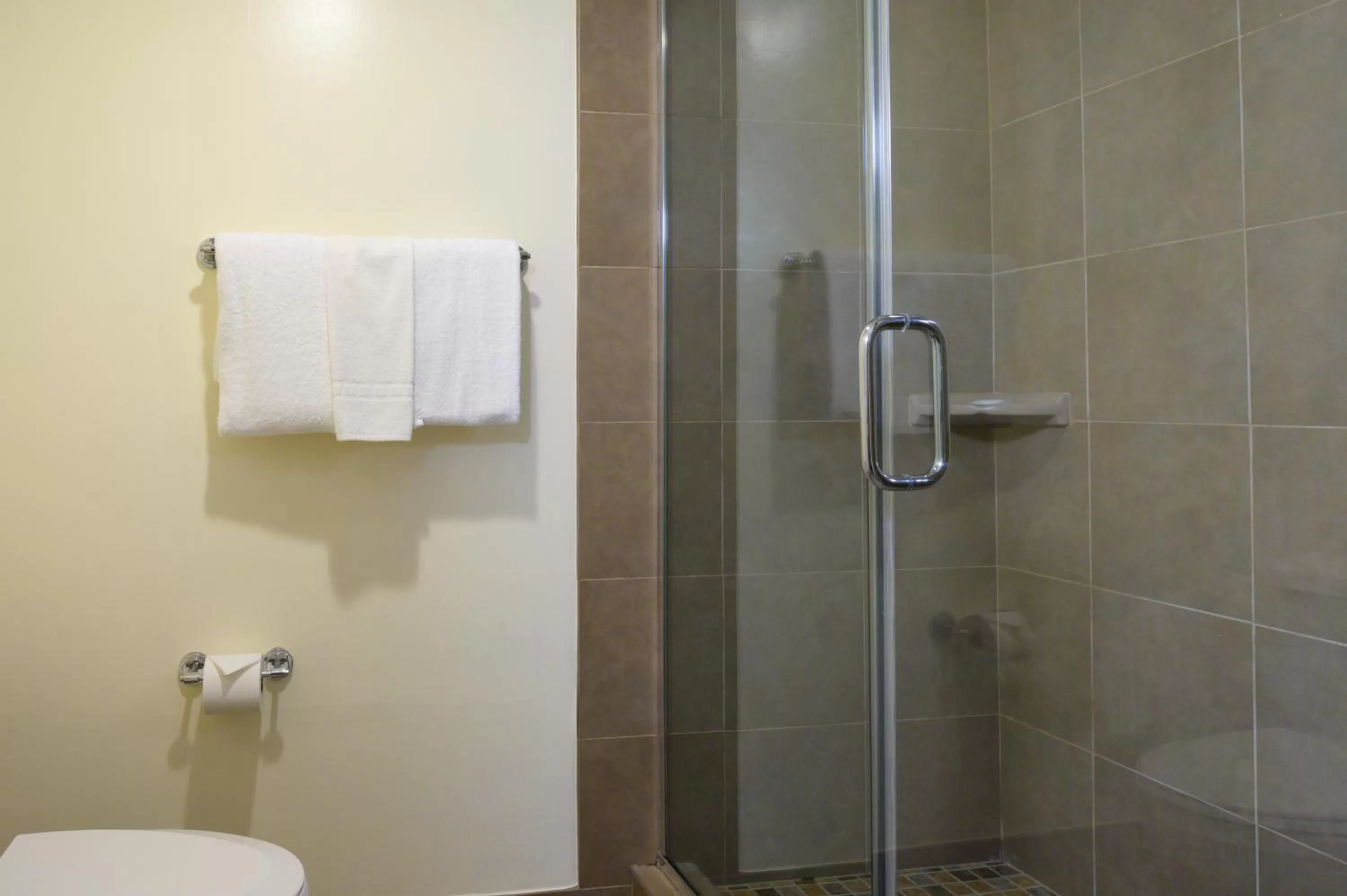 Shower in Airtel Plaza Hotel