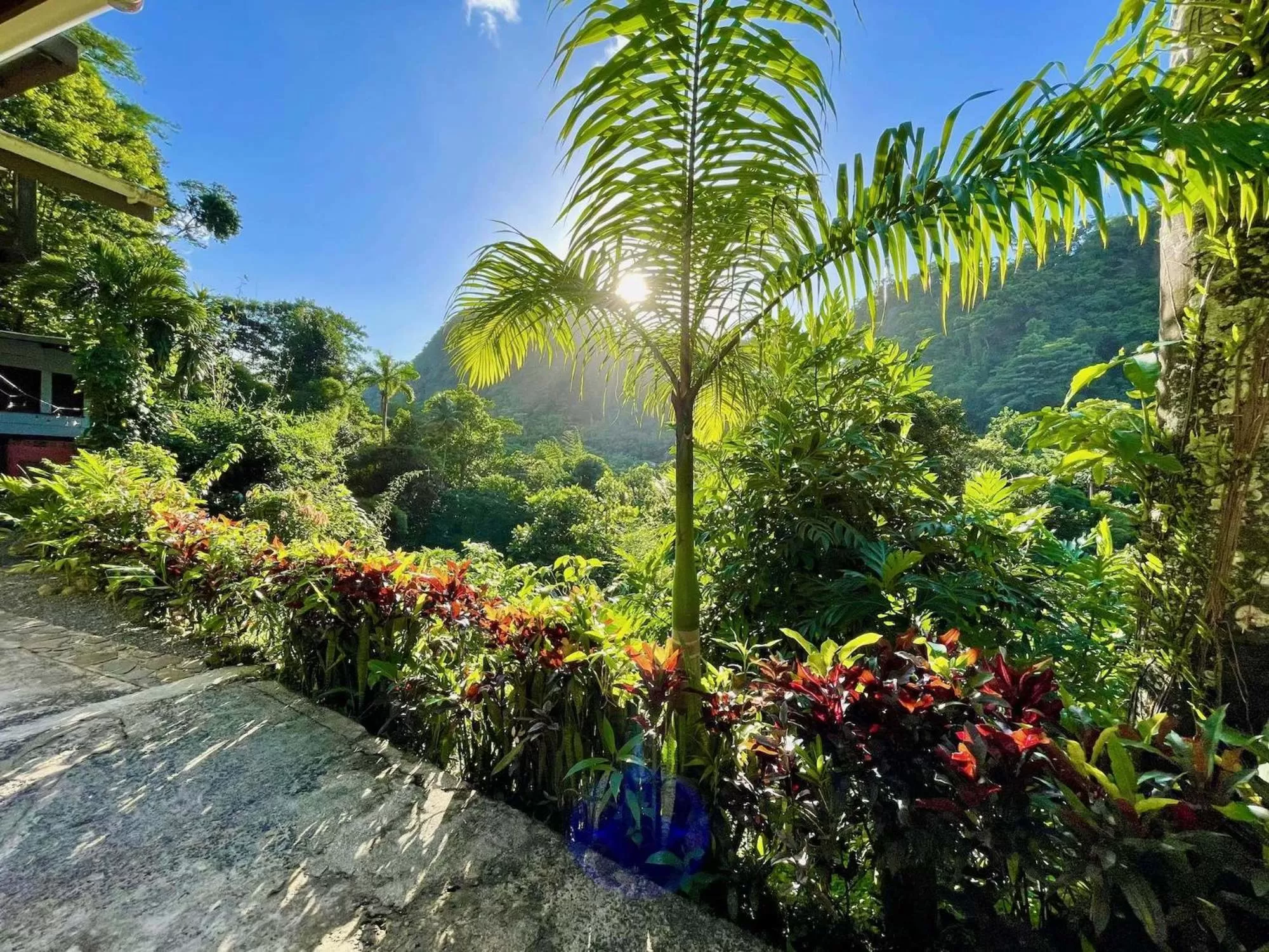 View (from property/room) in Cocoa Cottage