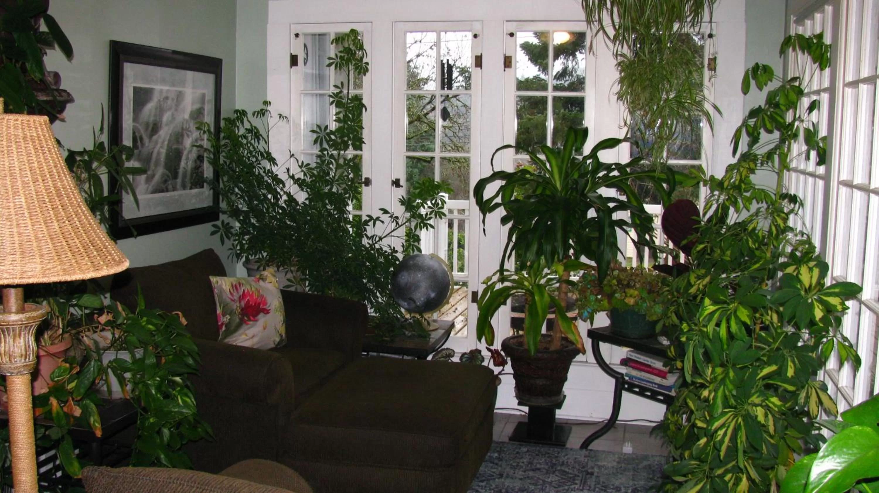 Garden in Terraluna Inn