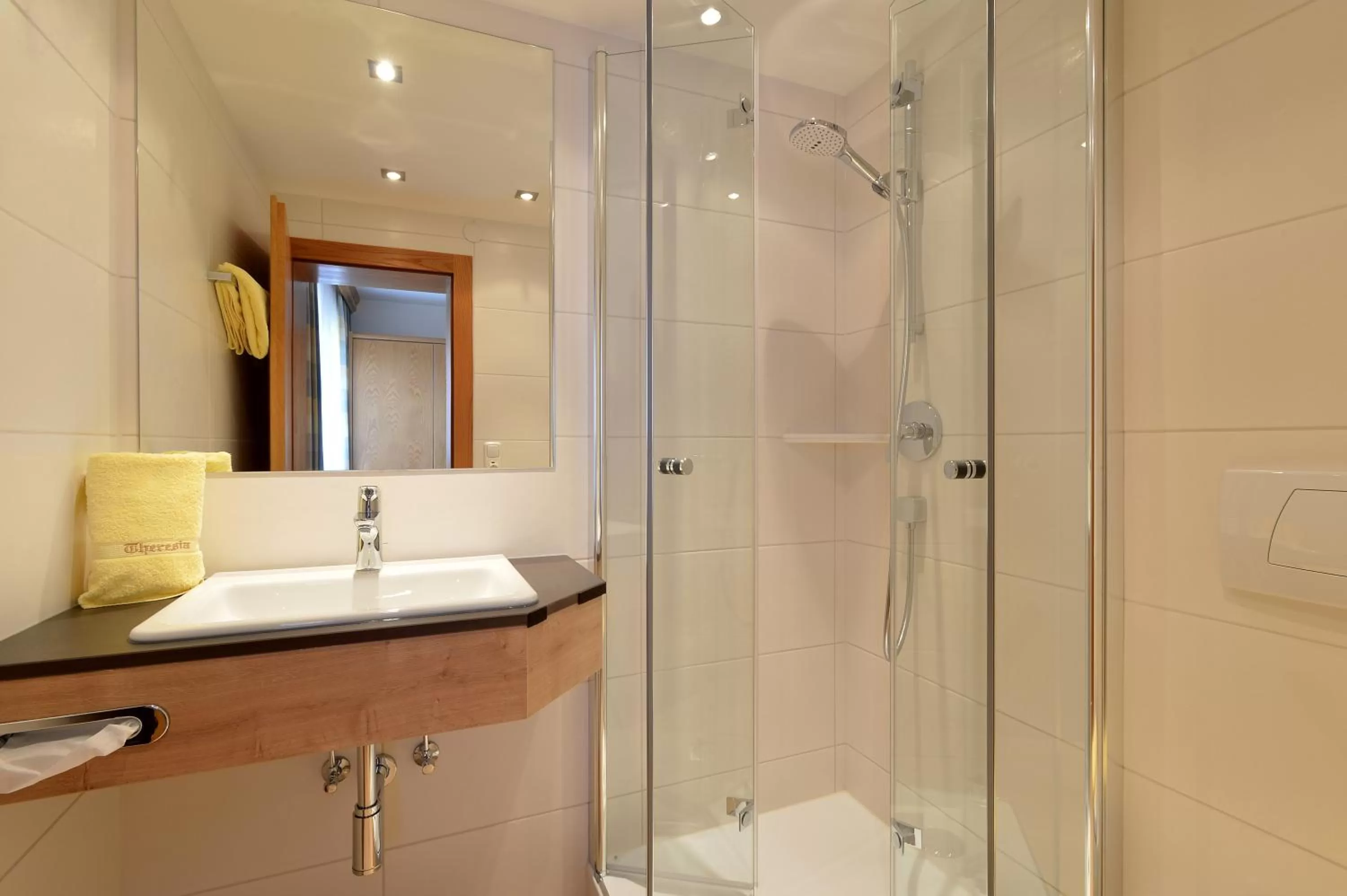 Bathroom in Hotel Theresia Garni