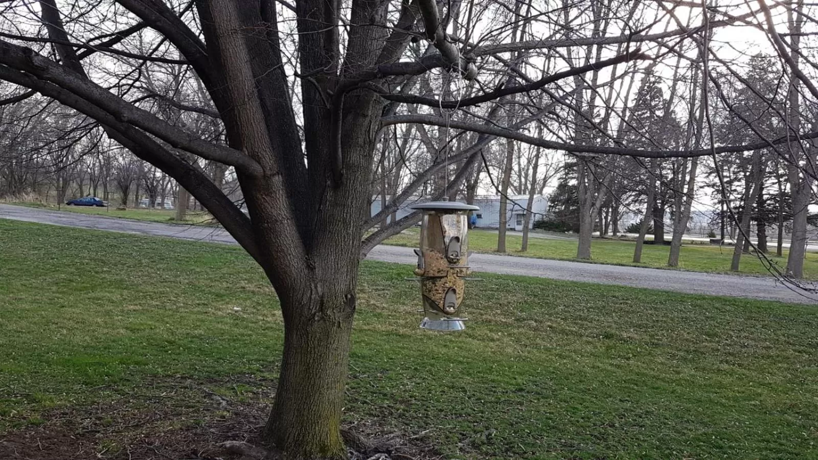 Area and facilities in Denison Inn & Suites