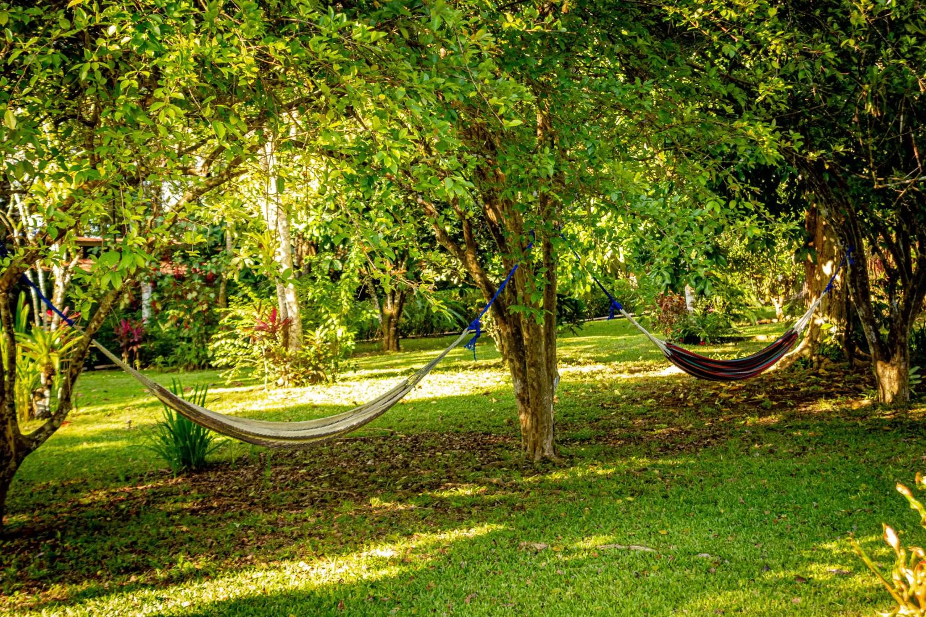 Natural landscape in Jaco Hotel DoceLunas