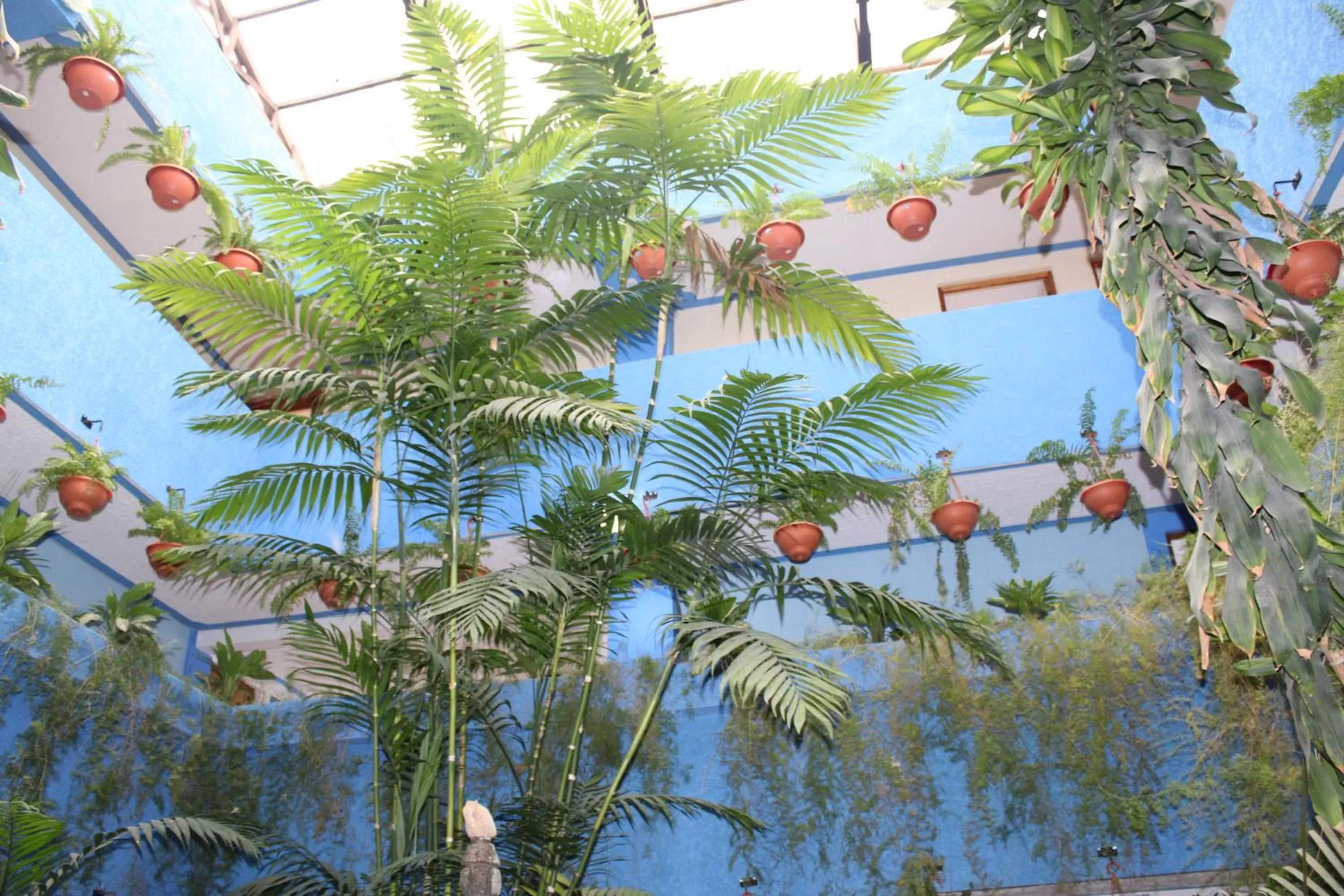 Garden in hotel kasa kamelot 2