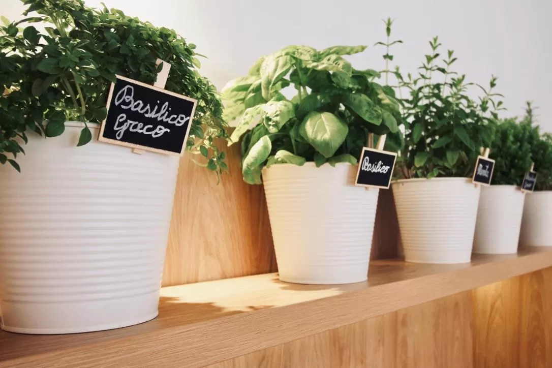 Decorative detail in Hotel Olivò