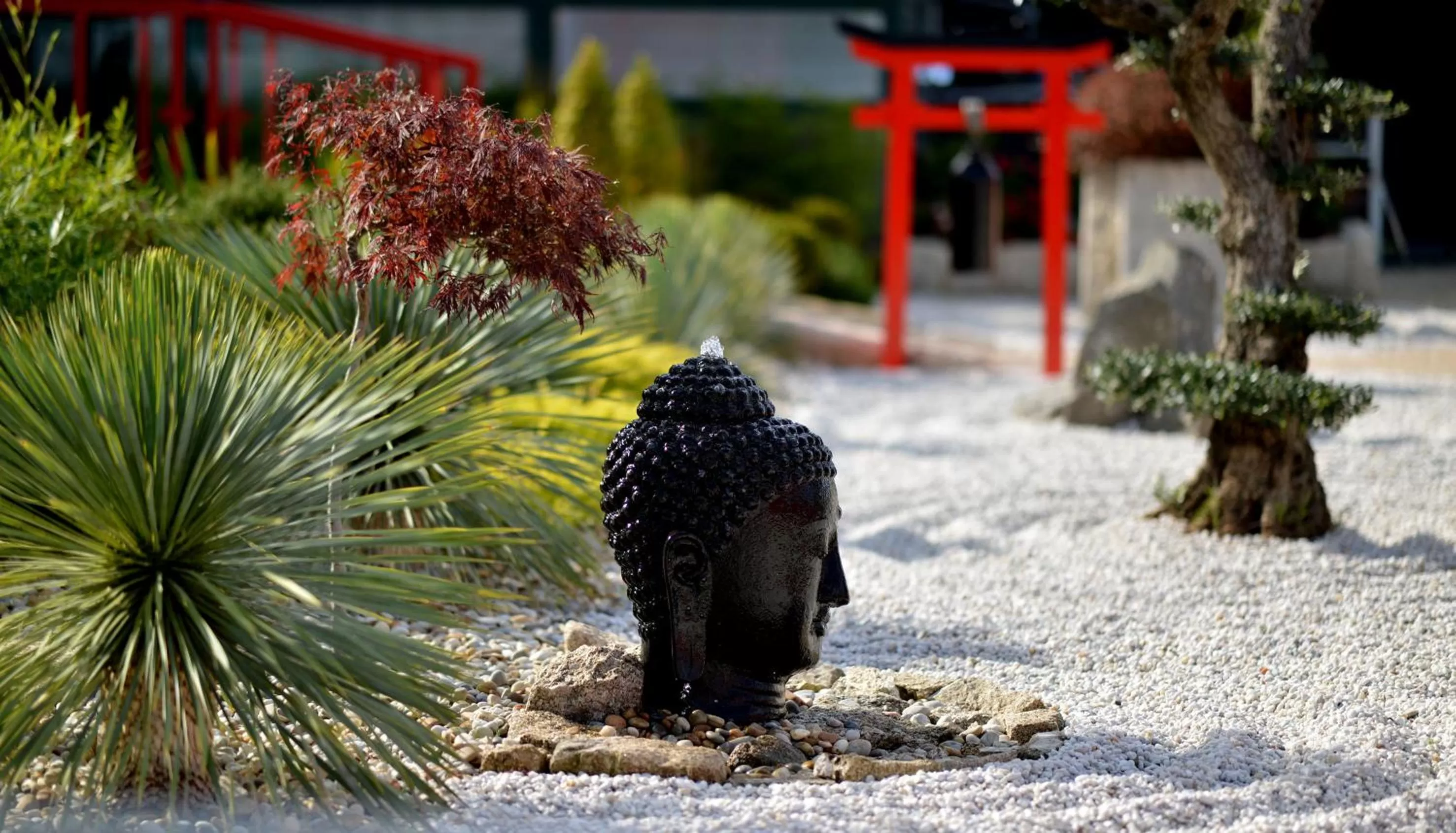 Garden in Casa das Carpas