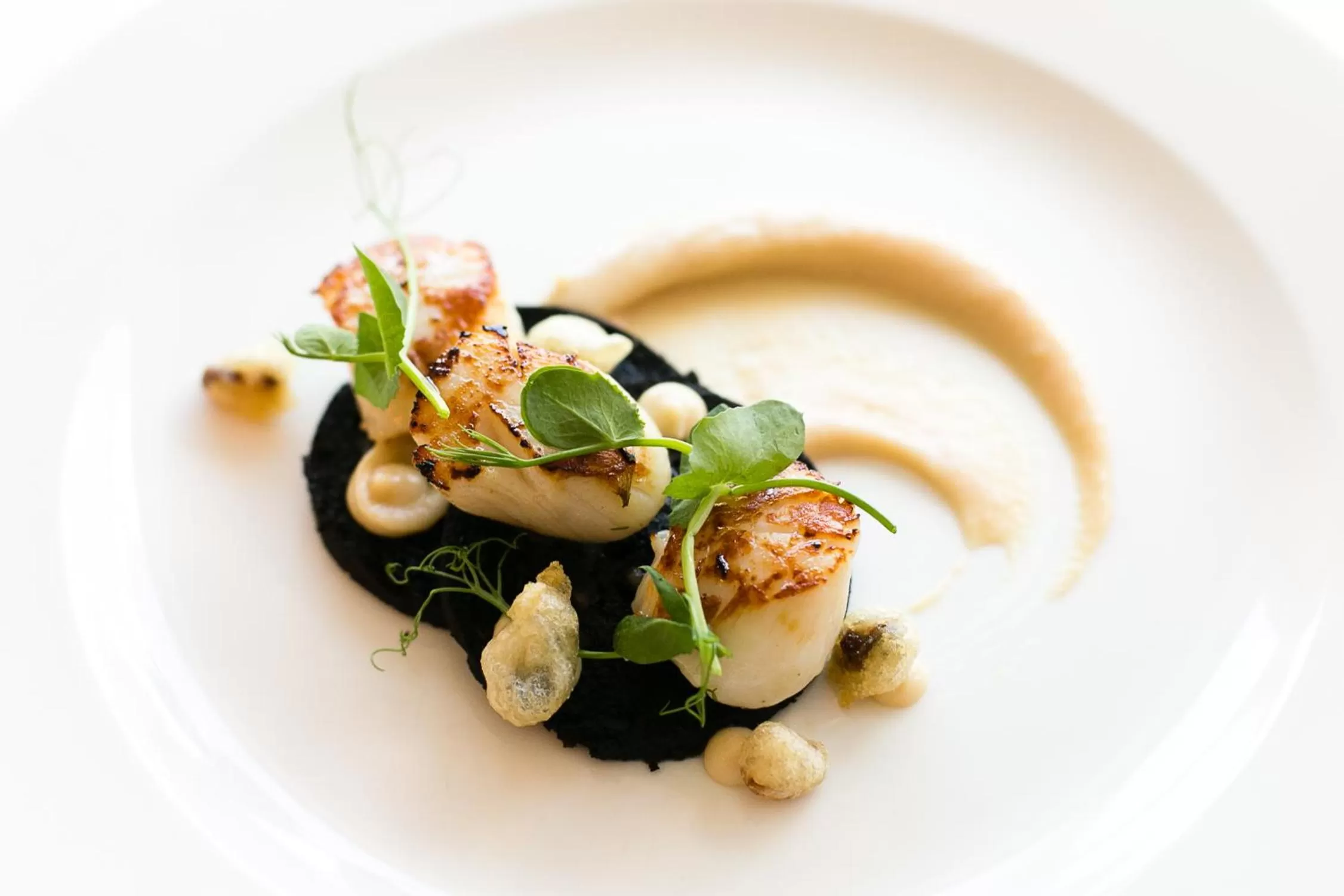 Restaurant/places to eat in The Maltsters Arms