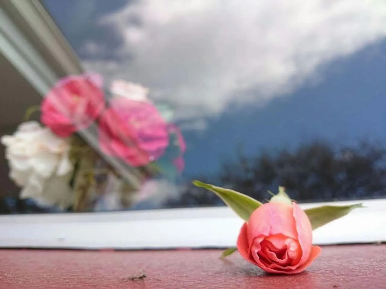 Other in Queens Park Motels