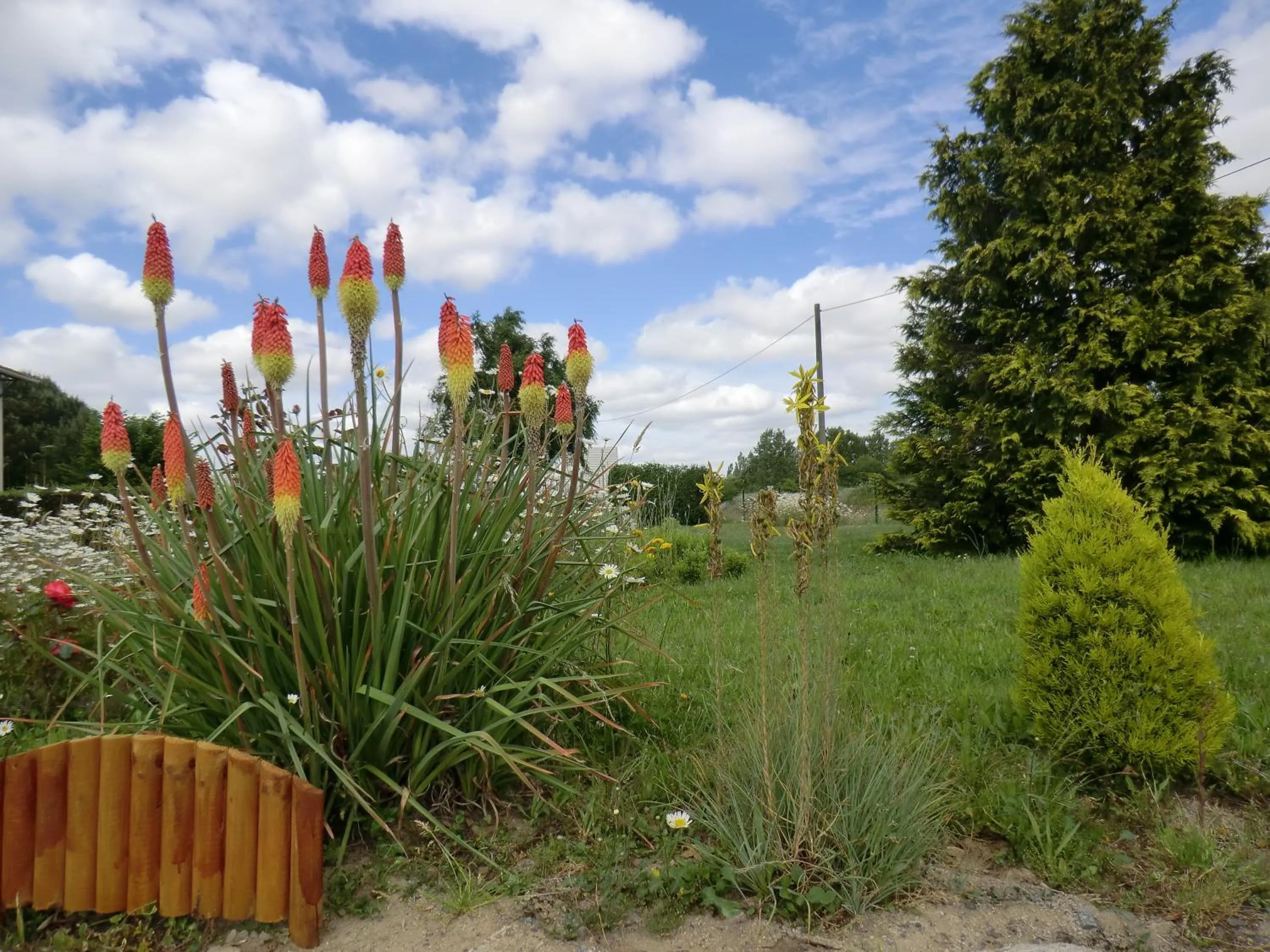 Other in Hotel Le Cormier 9