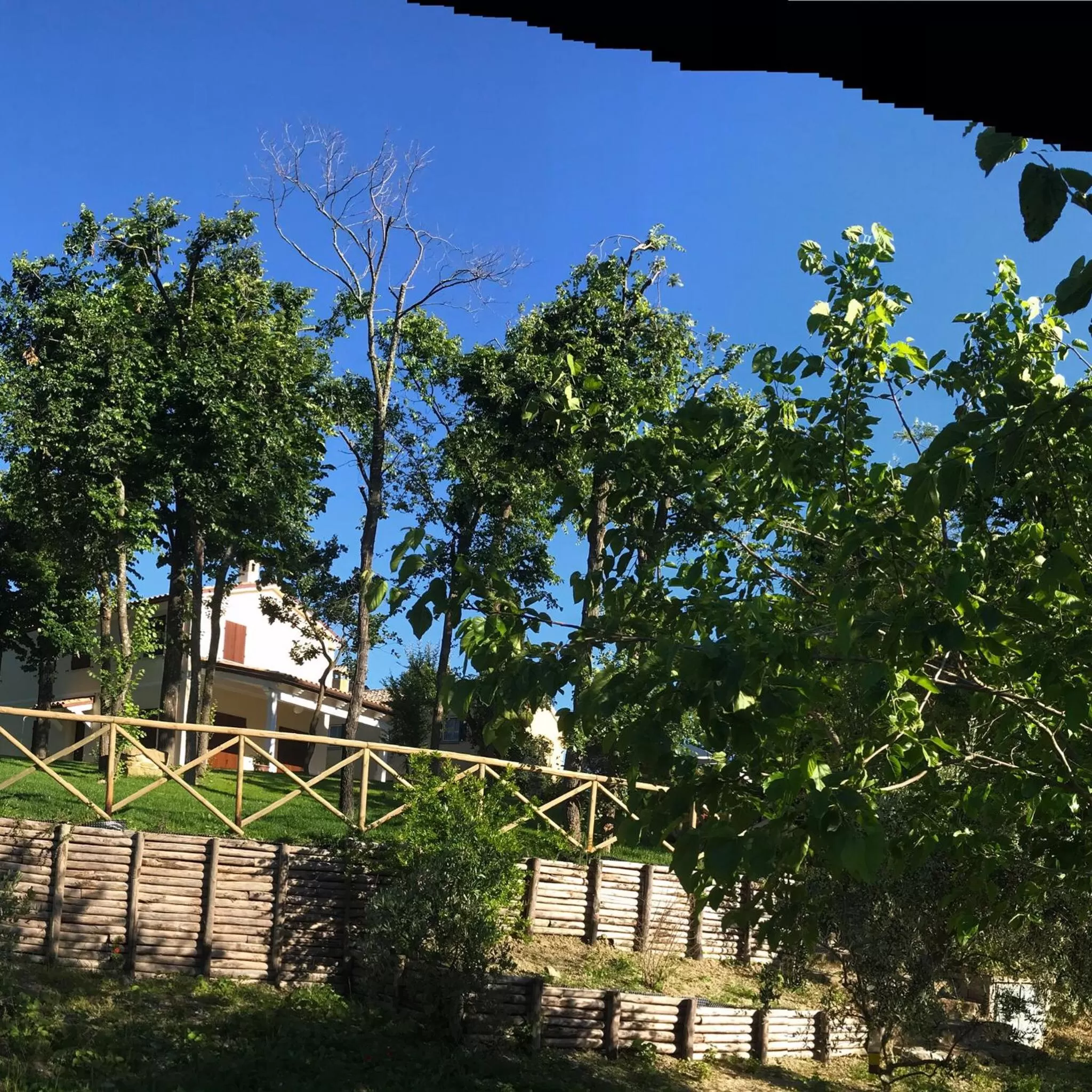 Garden view in Il Lauro