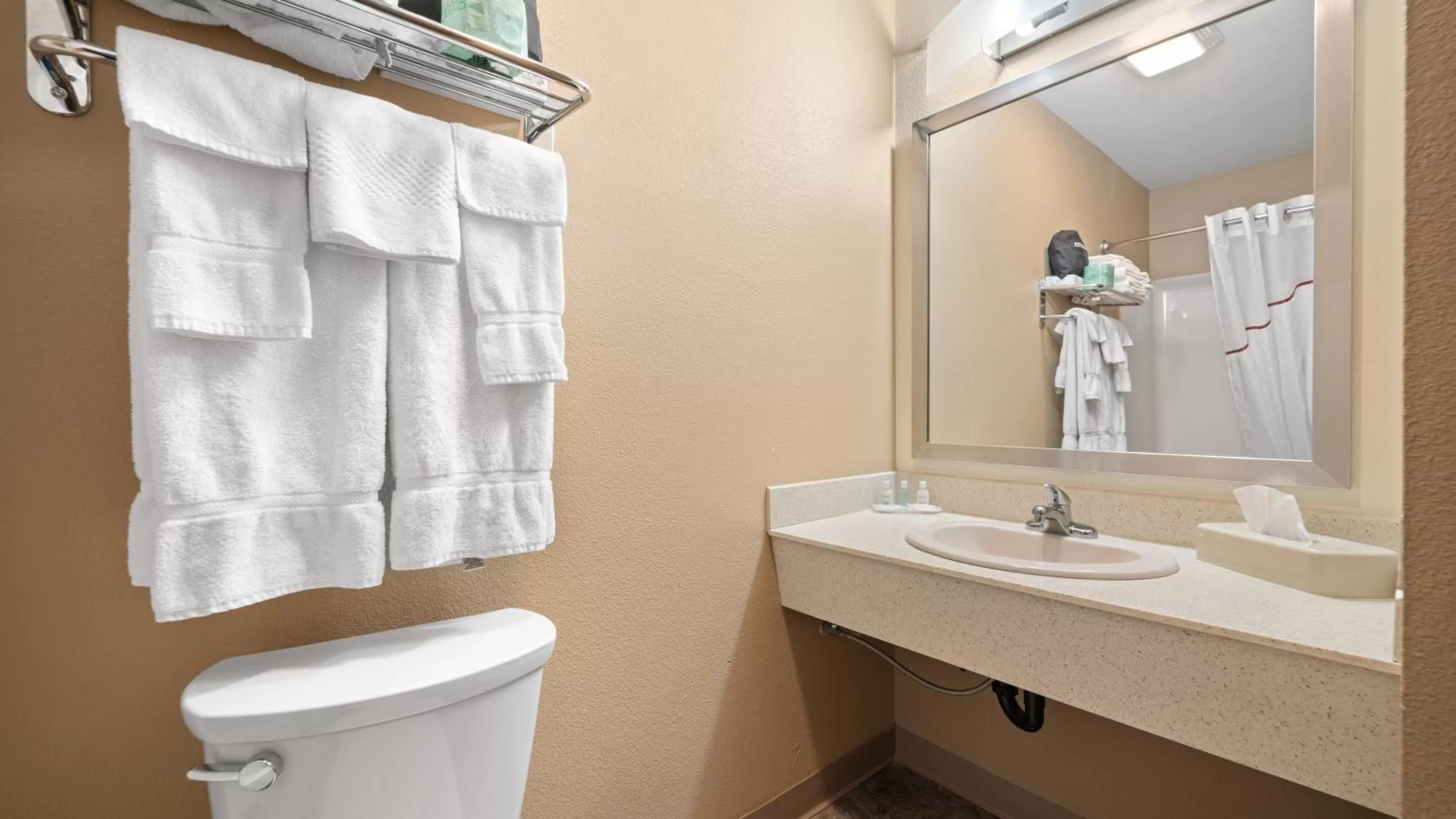 Bathroom in Clarion Hotel & Suites Fairbanks near Ft Wainwright