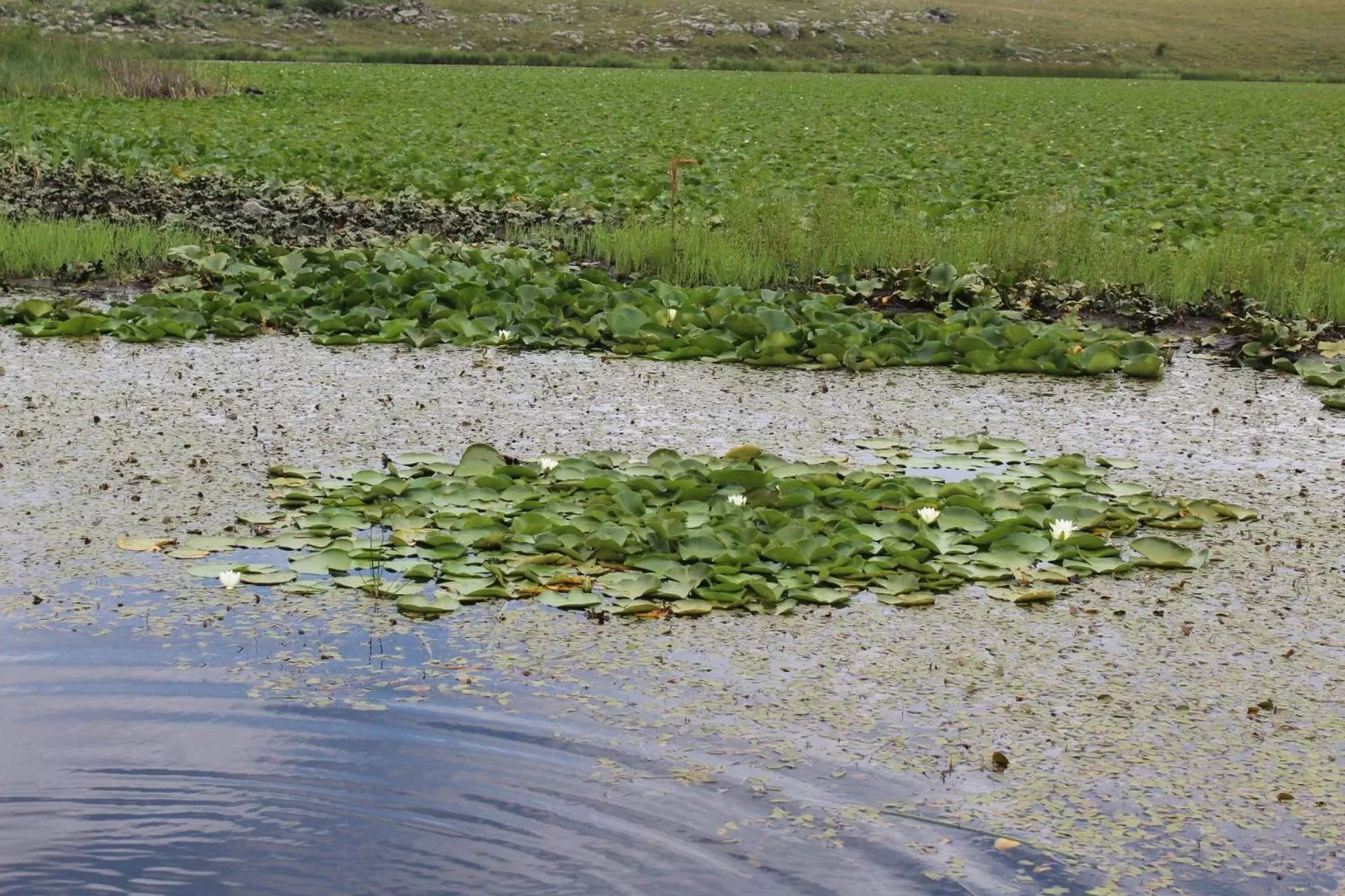 Ruzanna's Bed & Breakfast