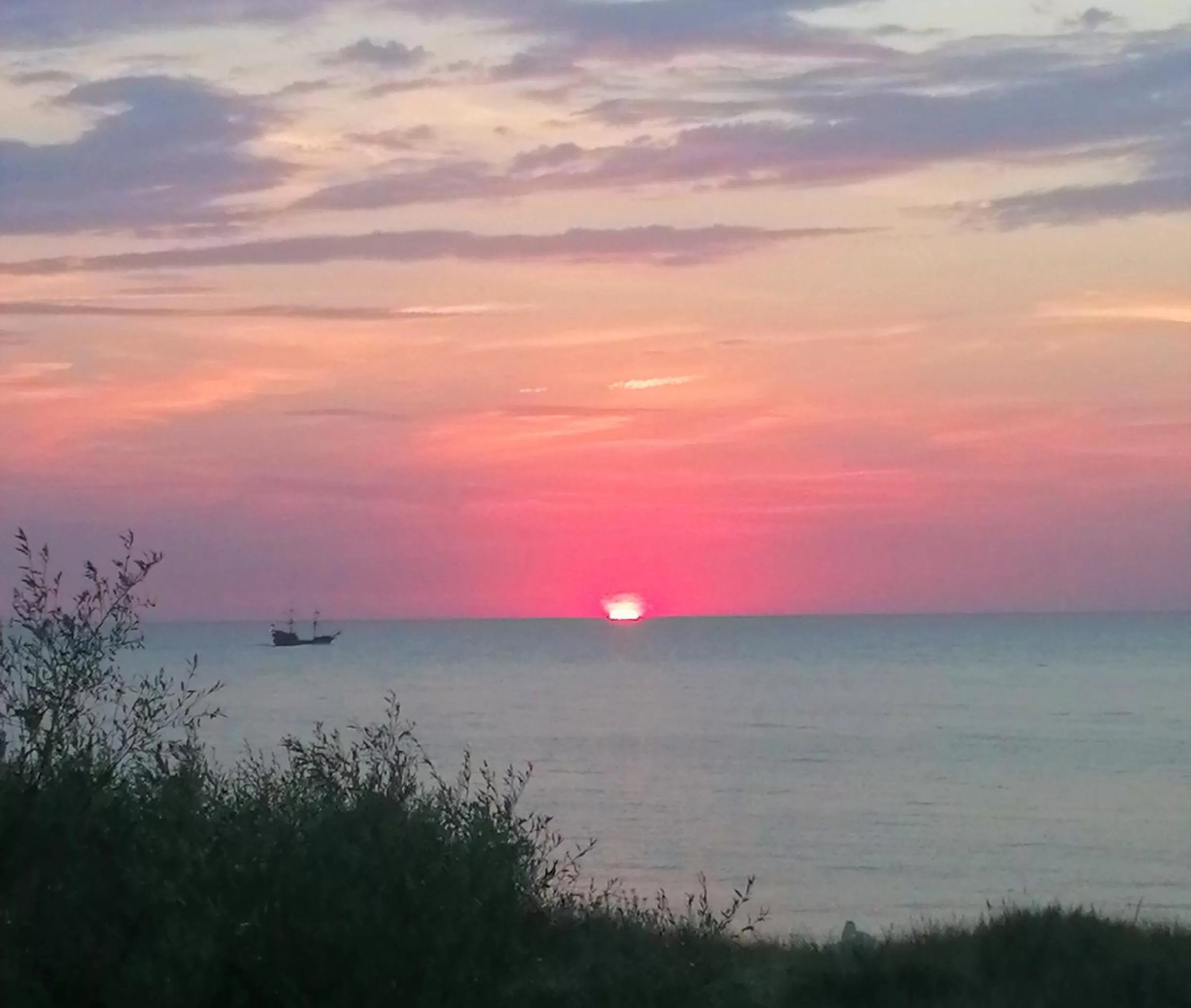 Natural landscape in Pensjonat Landrynka