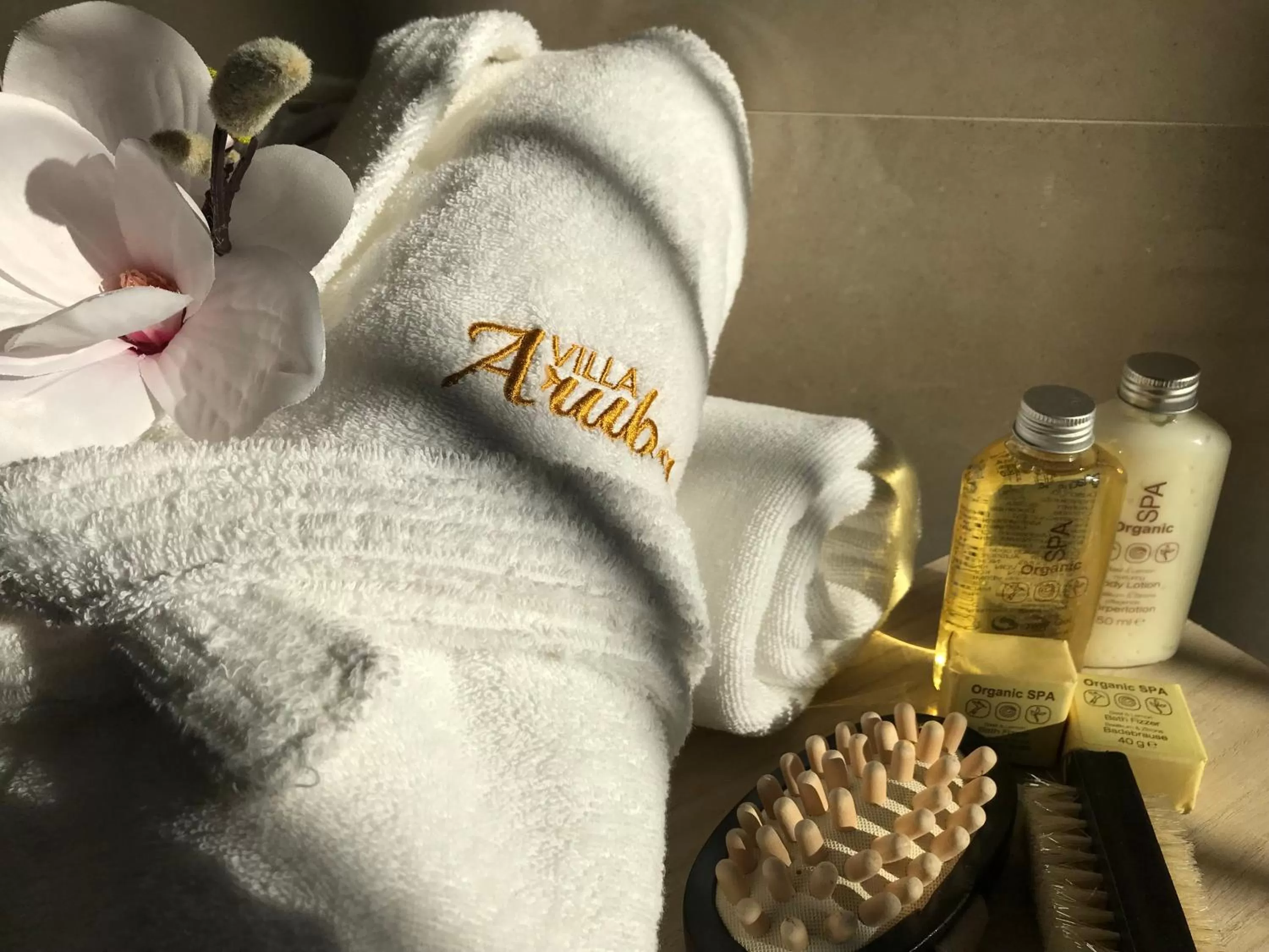 Property logo or sign in Villa Aruba & Private SPA Suites