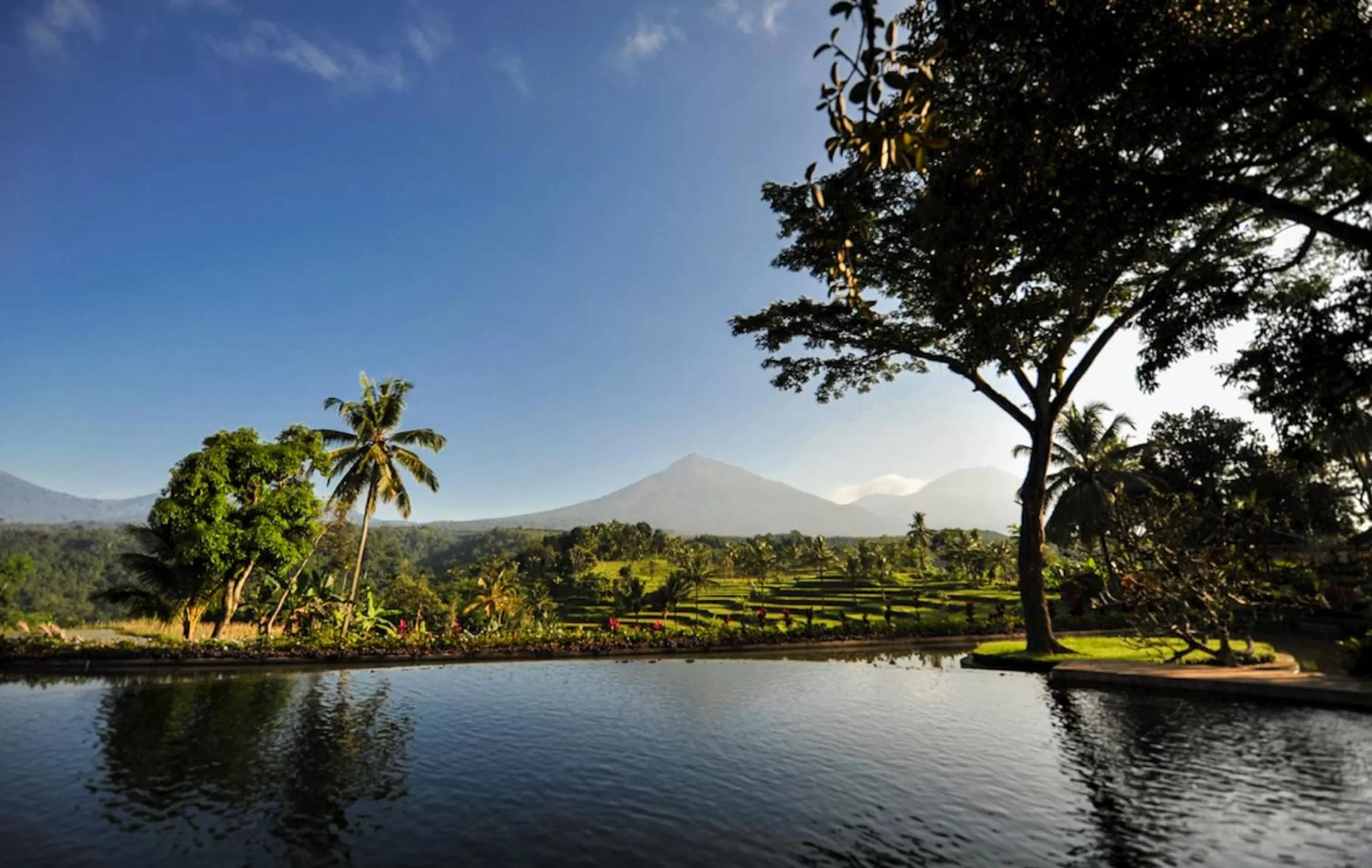Natural landscape in Ijen Resort and Villas - The Hidden Paradise