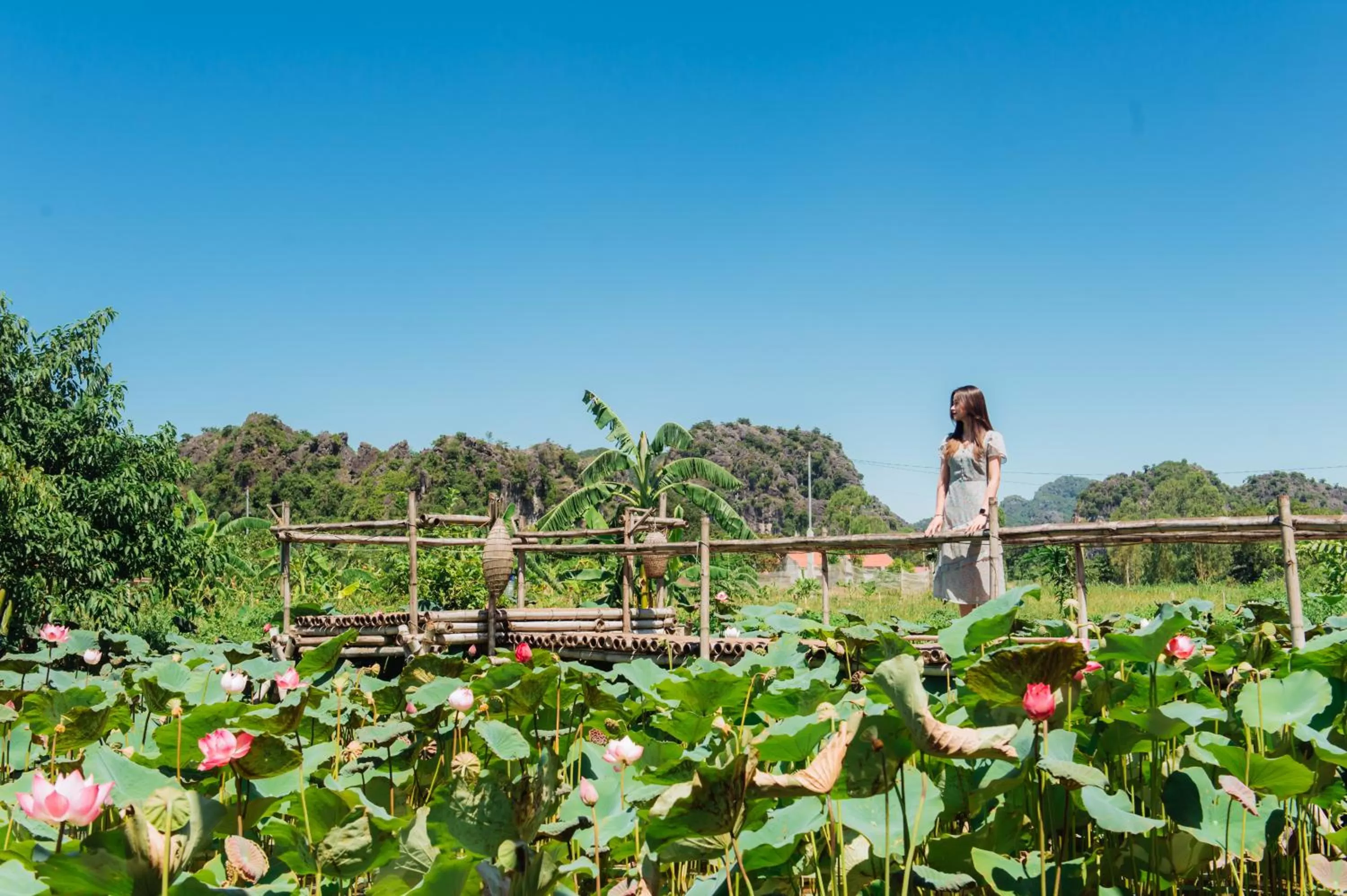 Natural landscape in Nan House - Tam Coc