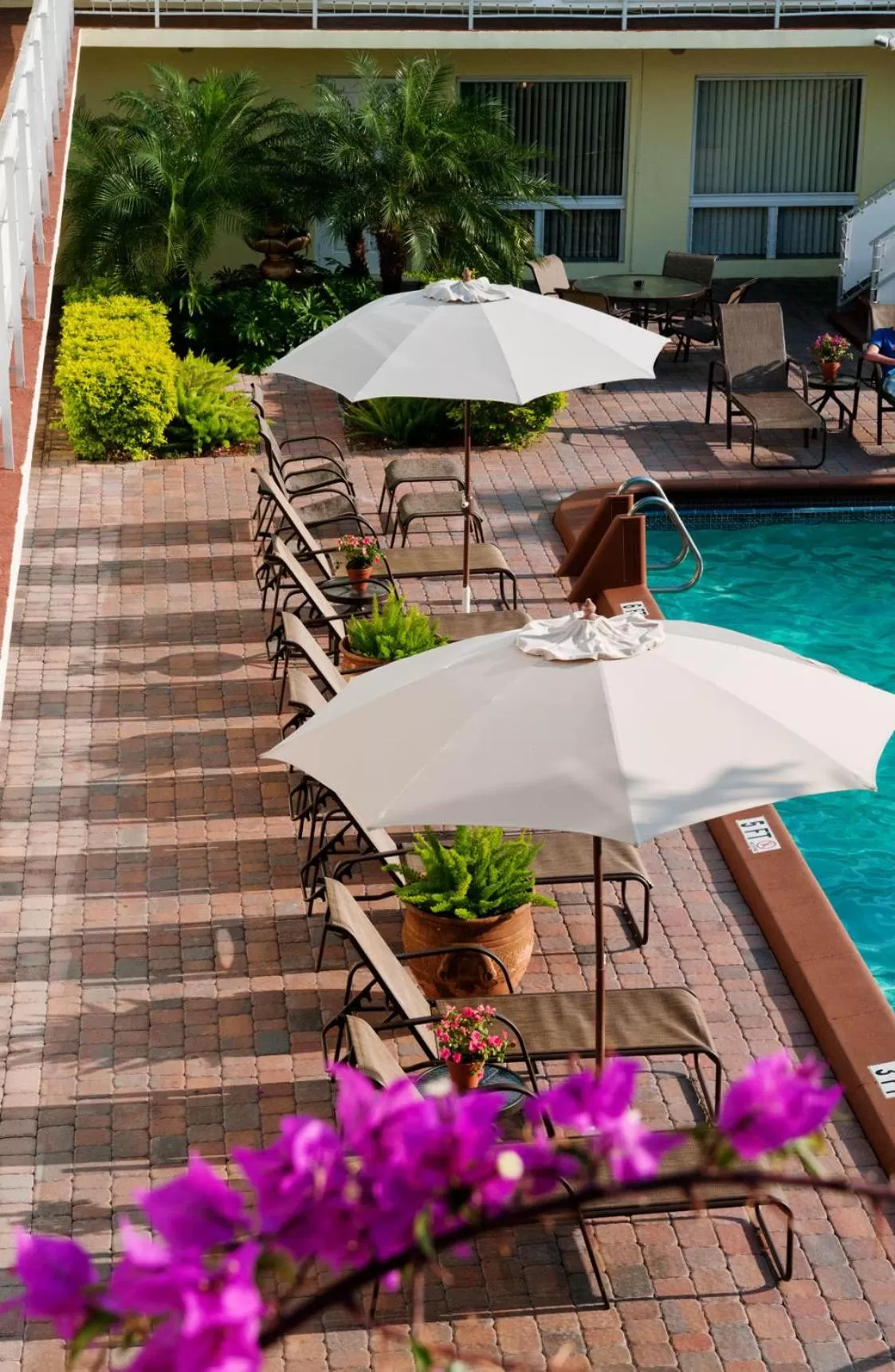 Patio in Ocean Lodge