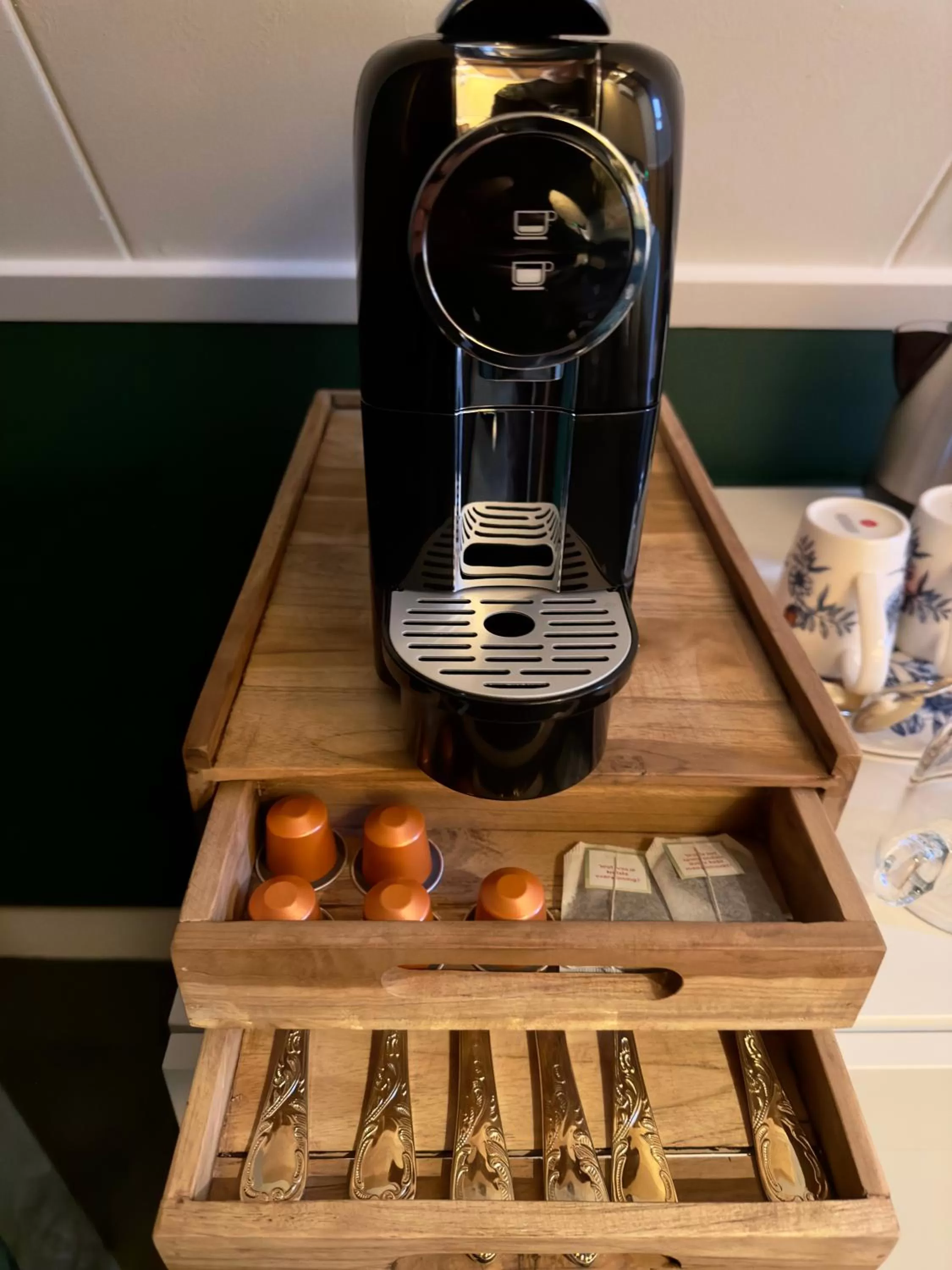 Villa Steenwyck Giethoorn