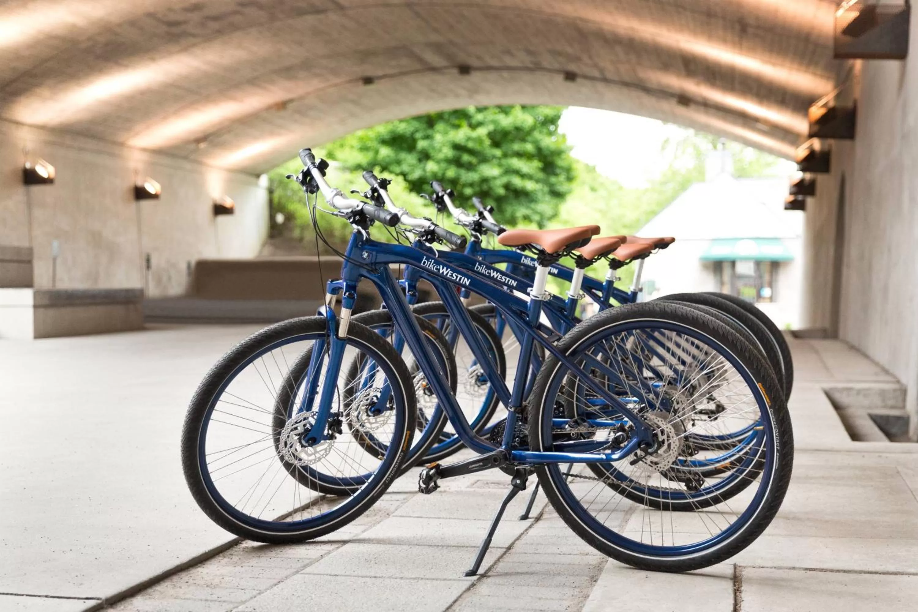 Other in The Westin Ottawa