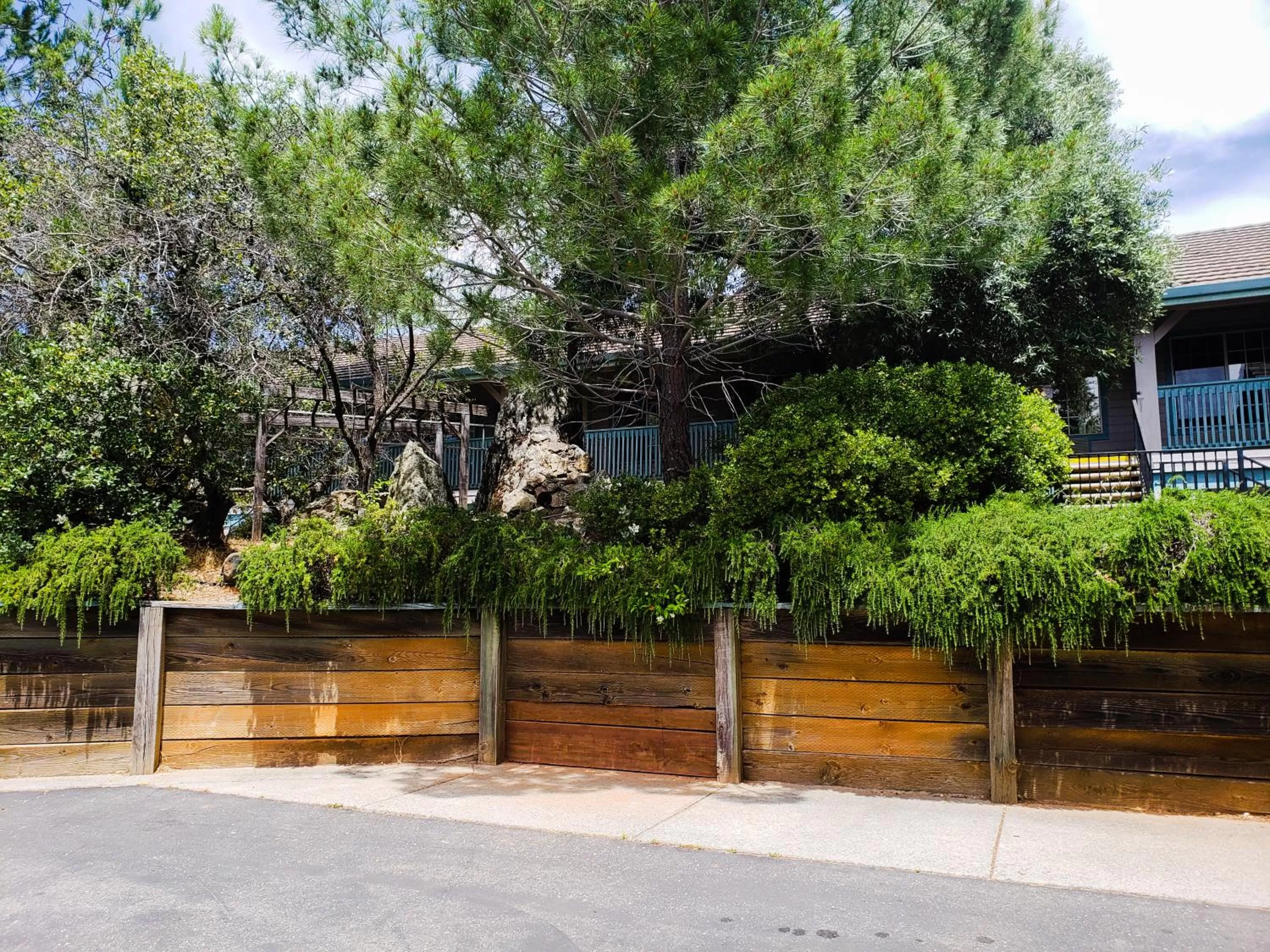 Garden in Super 8 by Wyndham Auburn