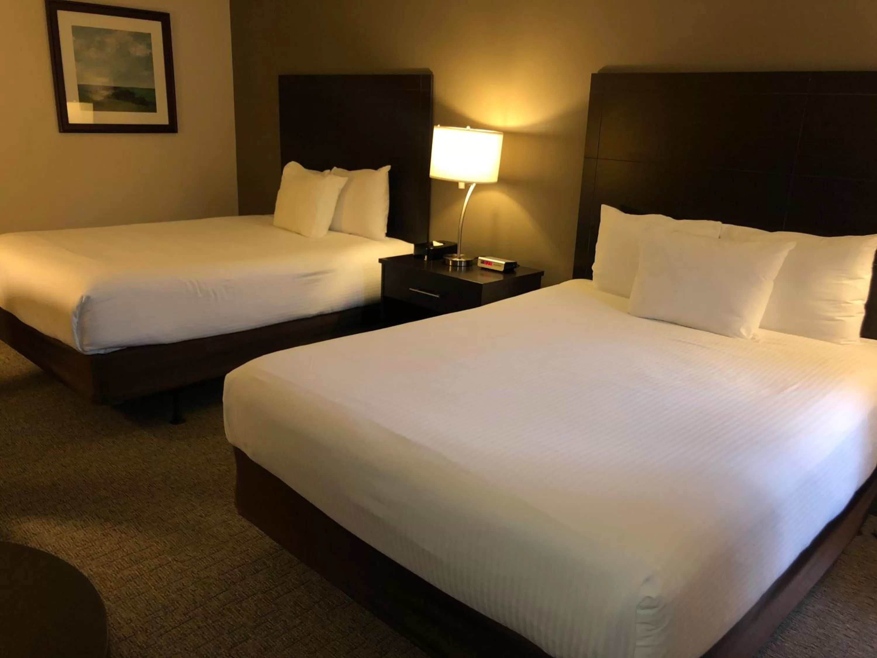 Photo of the whole room, Bed in Ramada by Wyndham Lindsay