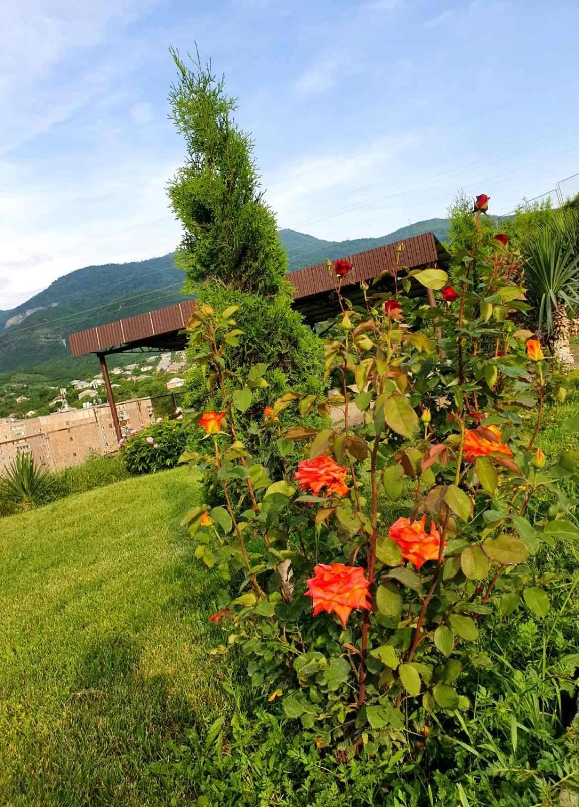 Spring, Property Building in Guest house Ijevan's Garden