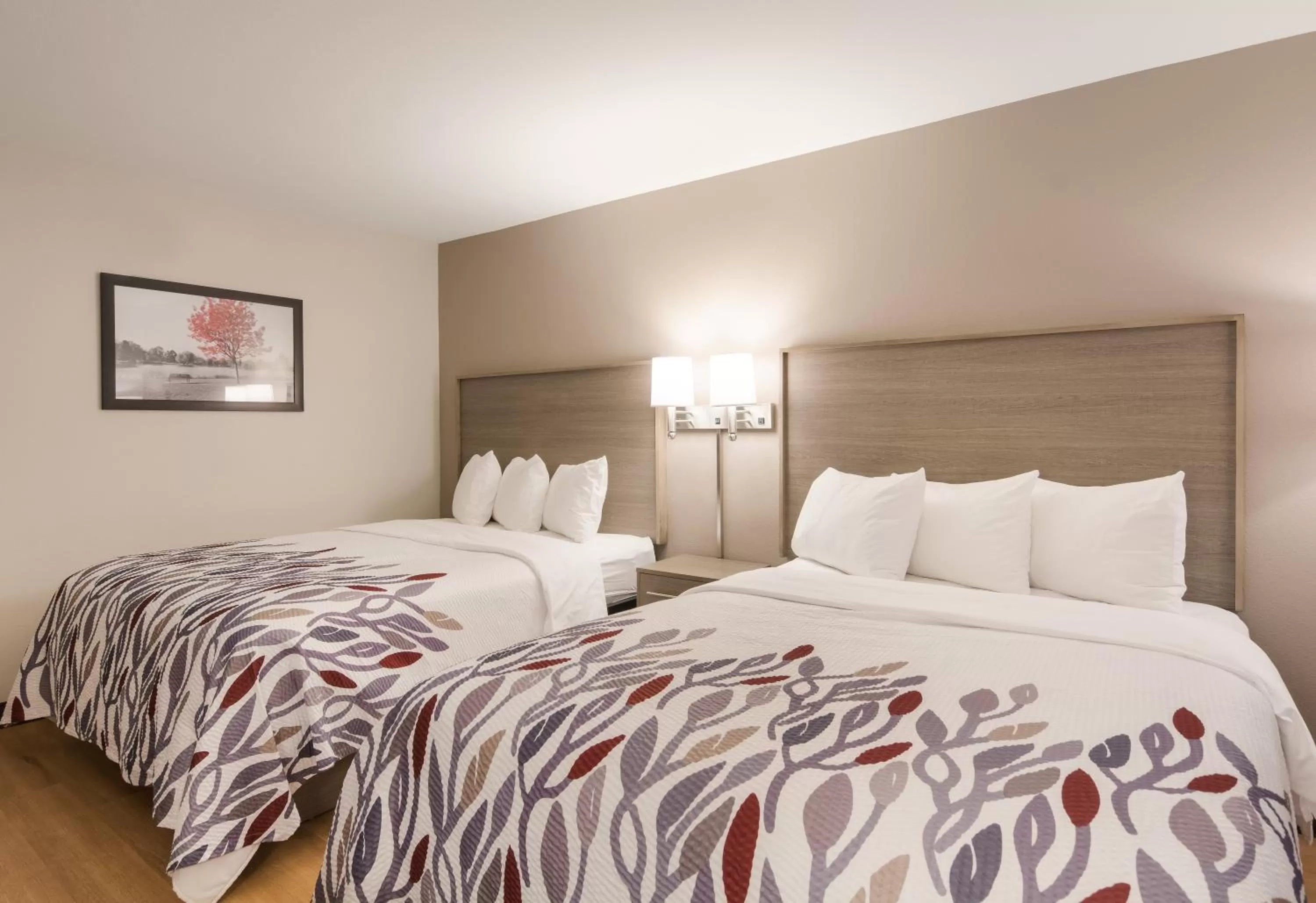 Photo of the whole room in Red Roof Inn Chester