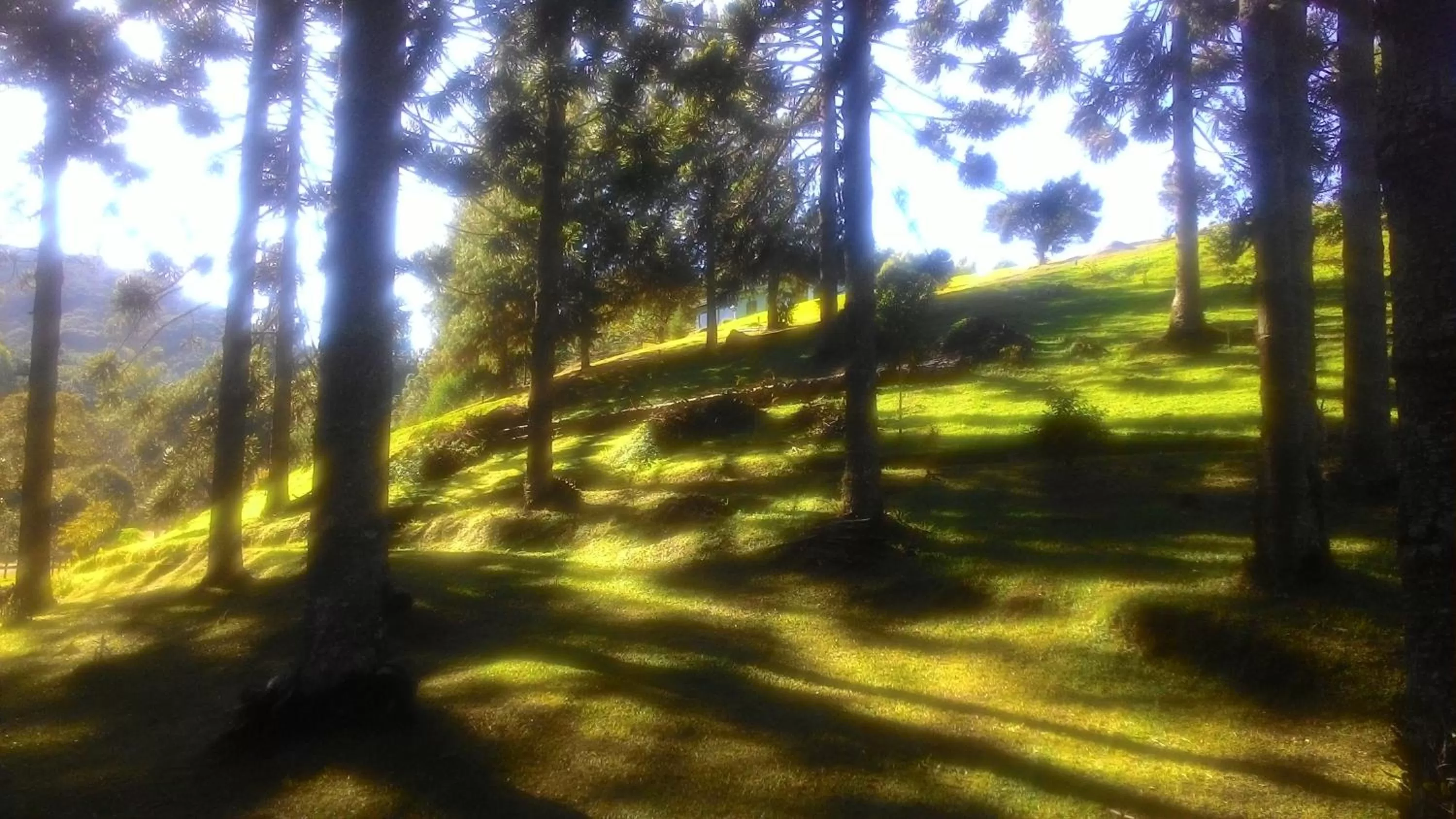 Property building, Garden in MD Luar da Montanha