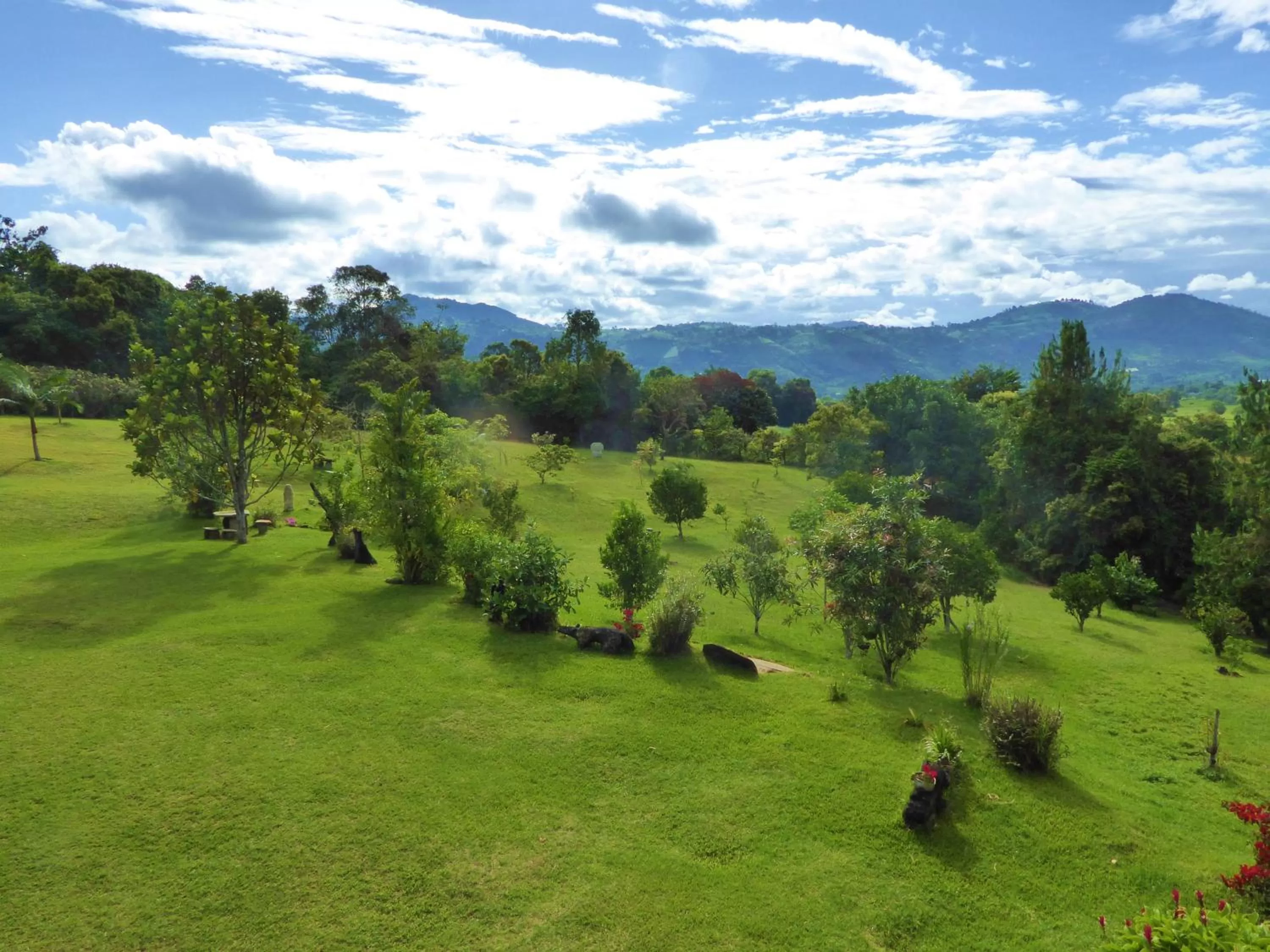 Garden in Finca El Cielo