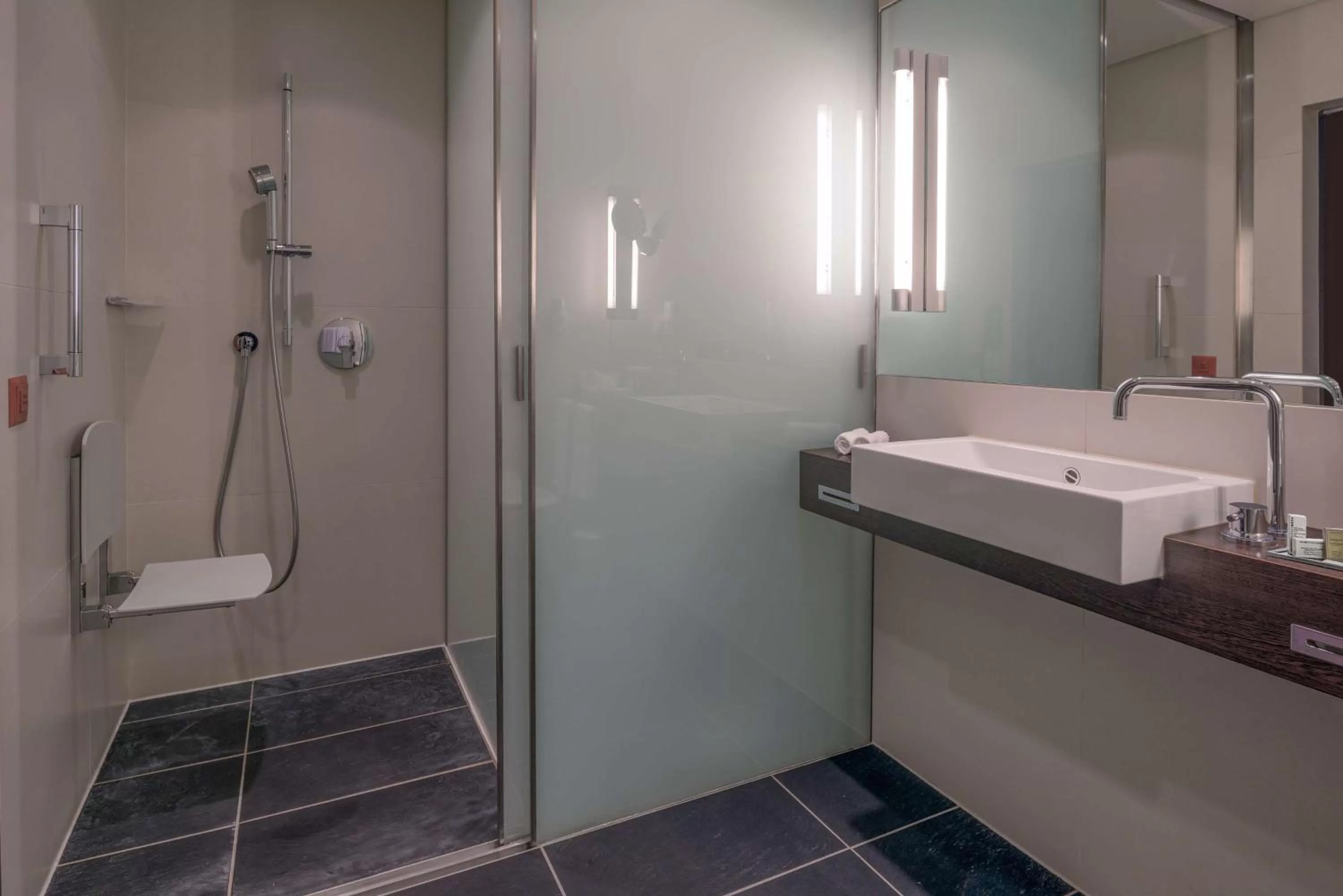 Bathroom in Hilton Geneva Hotel and Conference Centre