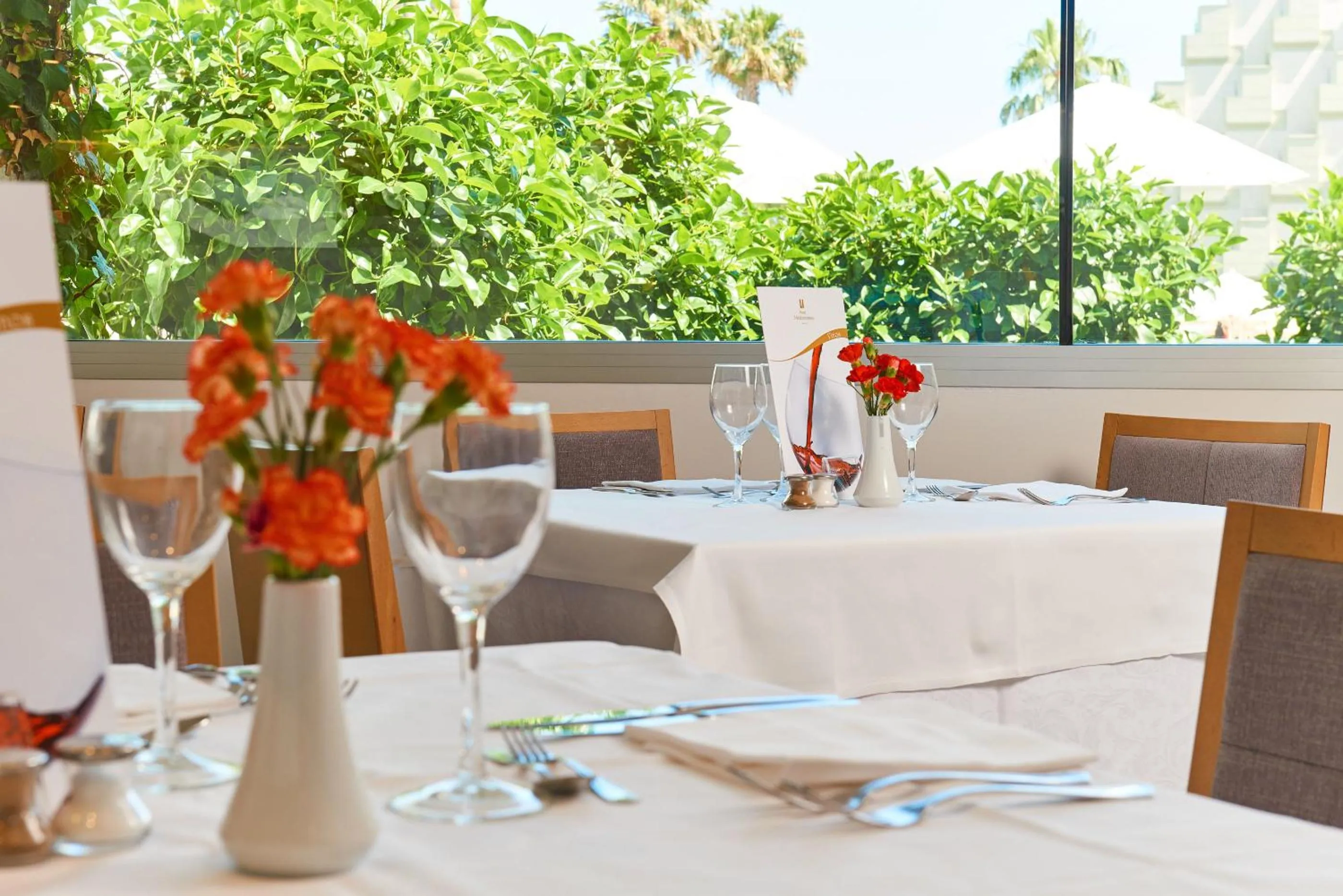 Restaurant/places to eat in Hipotels Mediterraneo Hotel - Adults Only