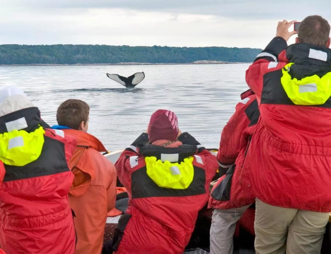 group of guests in Complexe Hotelier Escoumins