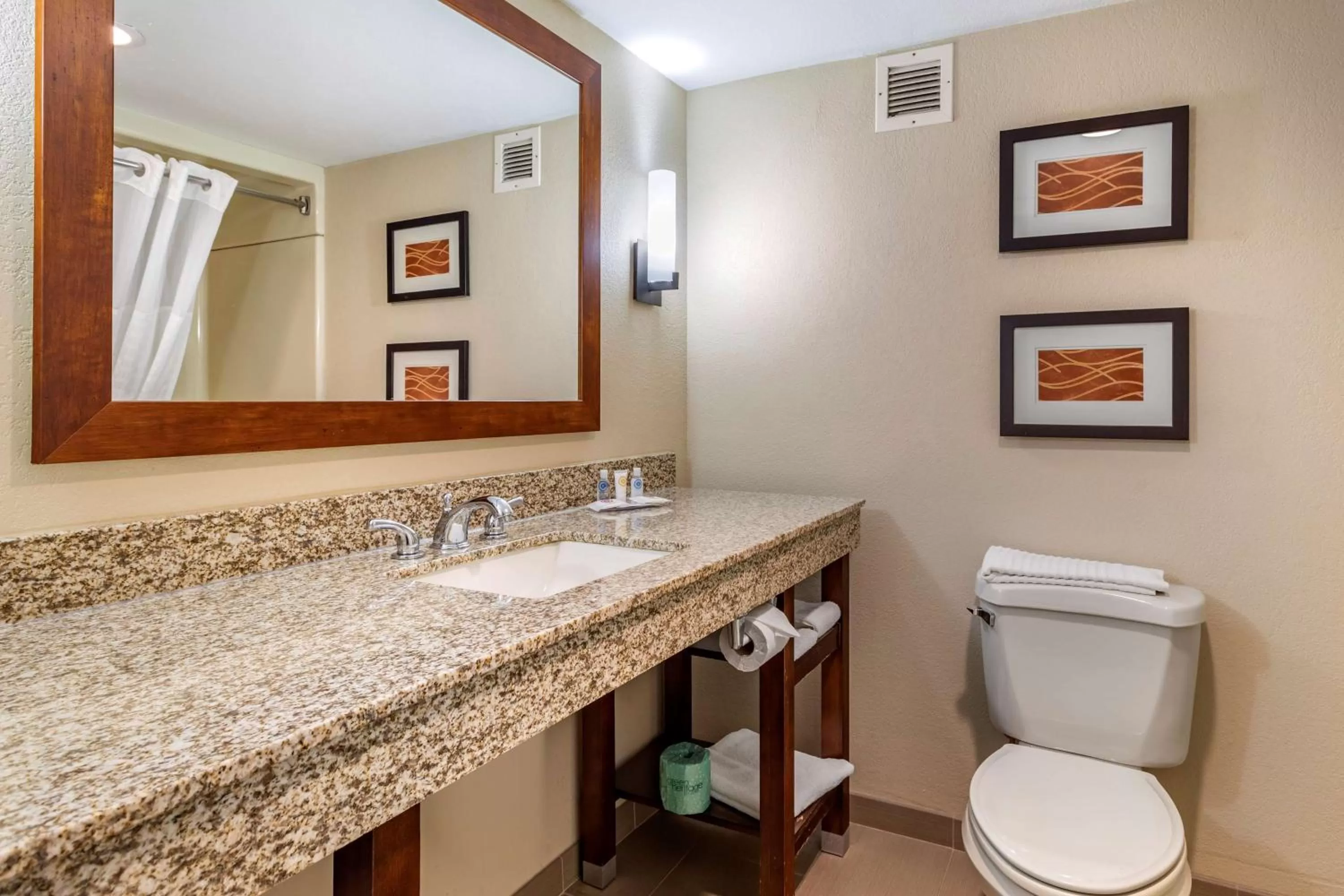 Bathroom in Comfort Inn Biltmore West