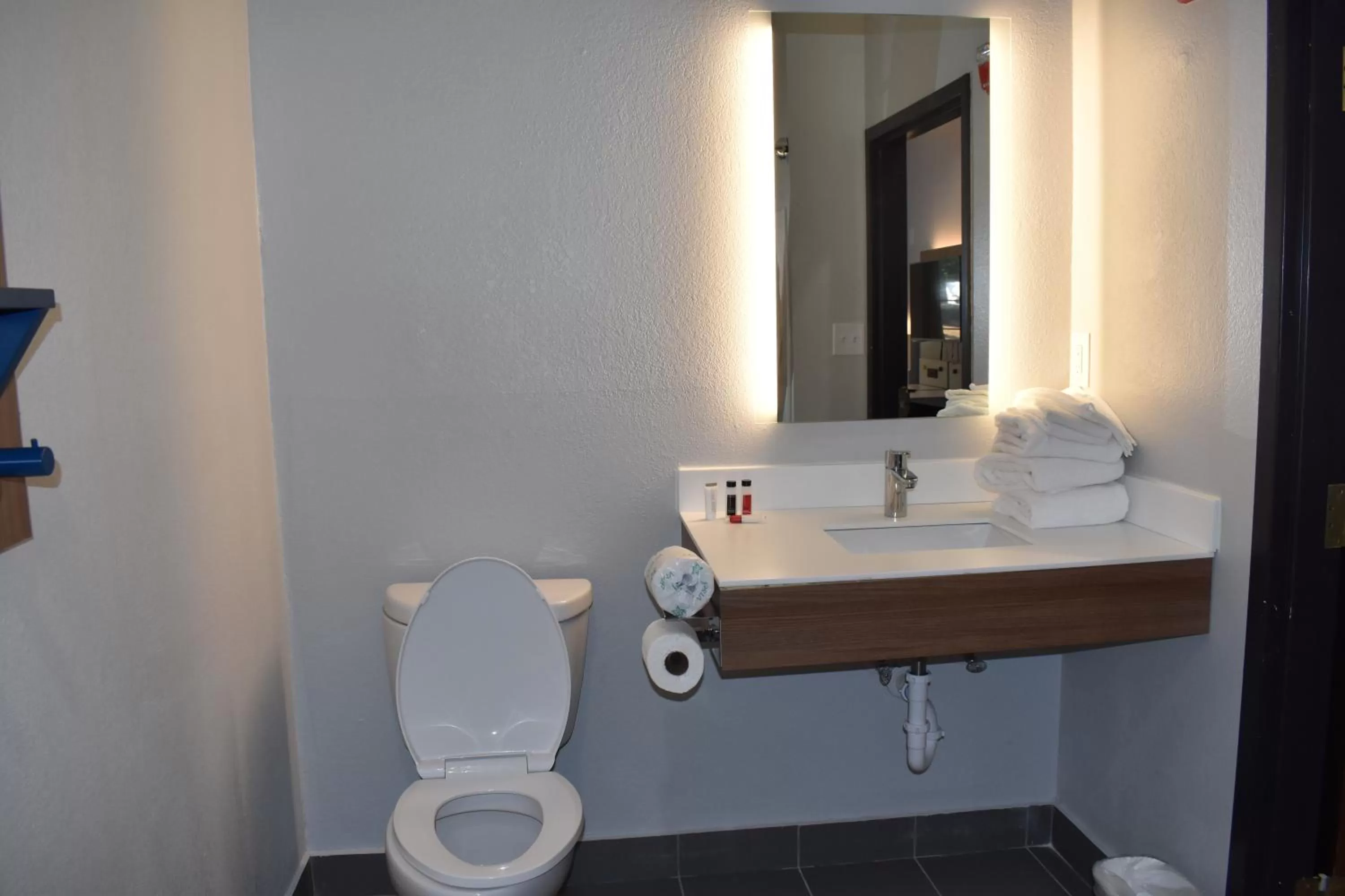 Toilet in Microtel Inn & Suites by Wyndham Stockbridge/Atlanta I-75