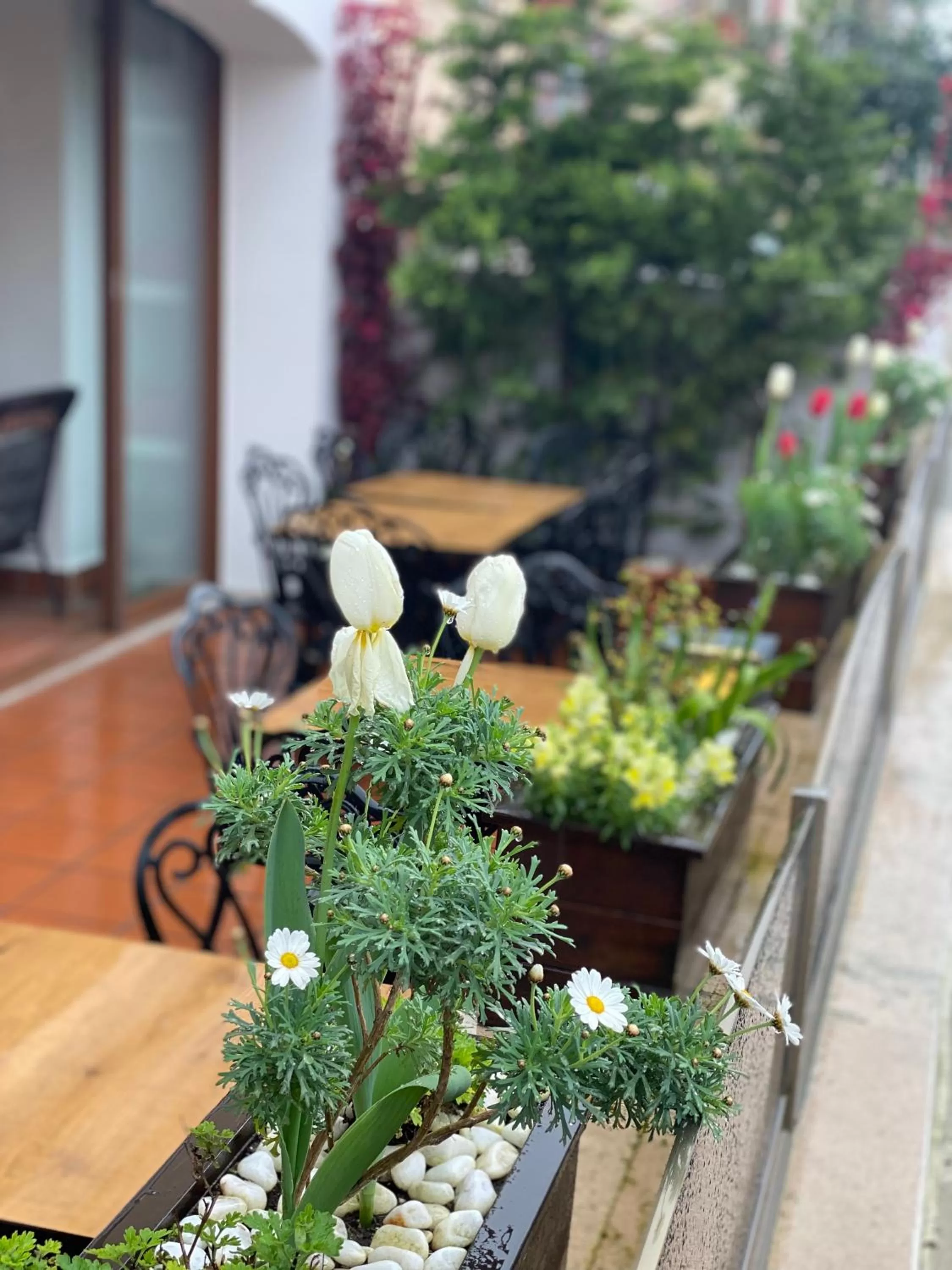 Property building in Blue Sea Hotel