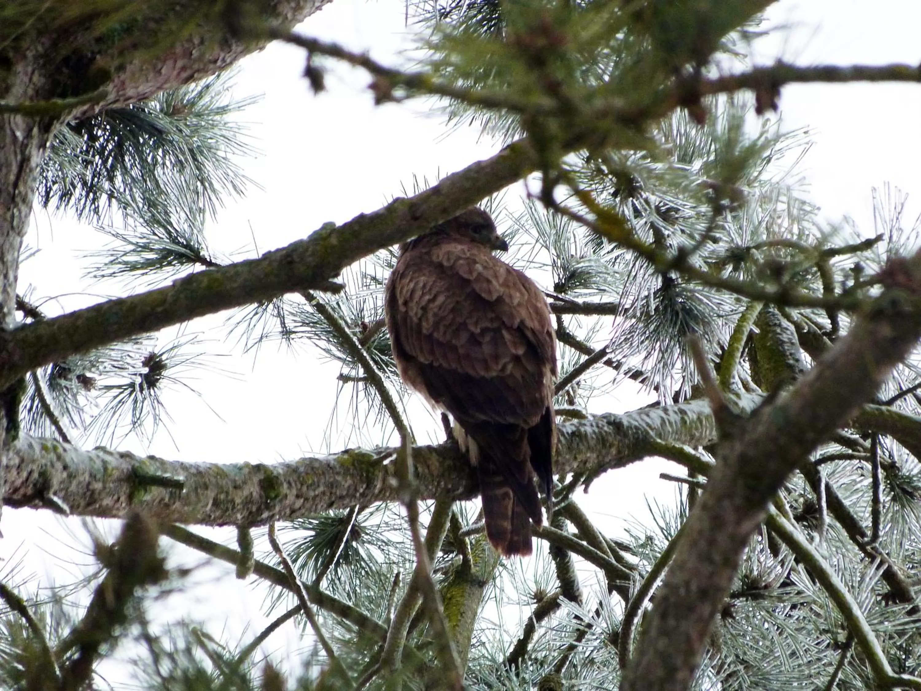 Property building in Les Rêves de Flamboin