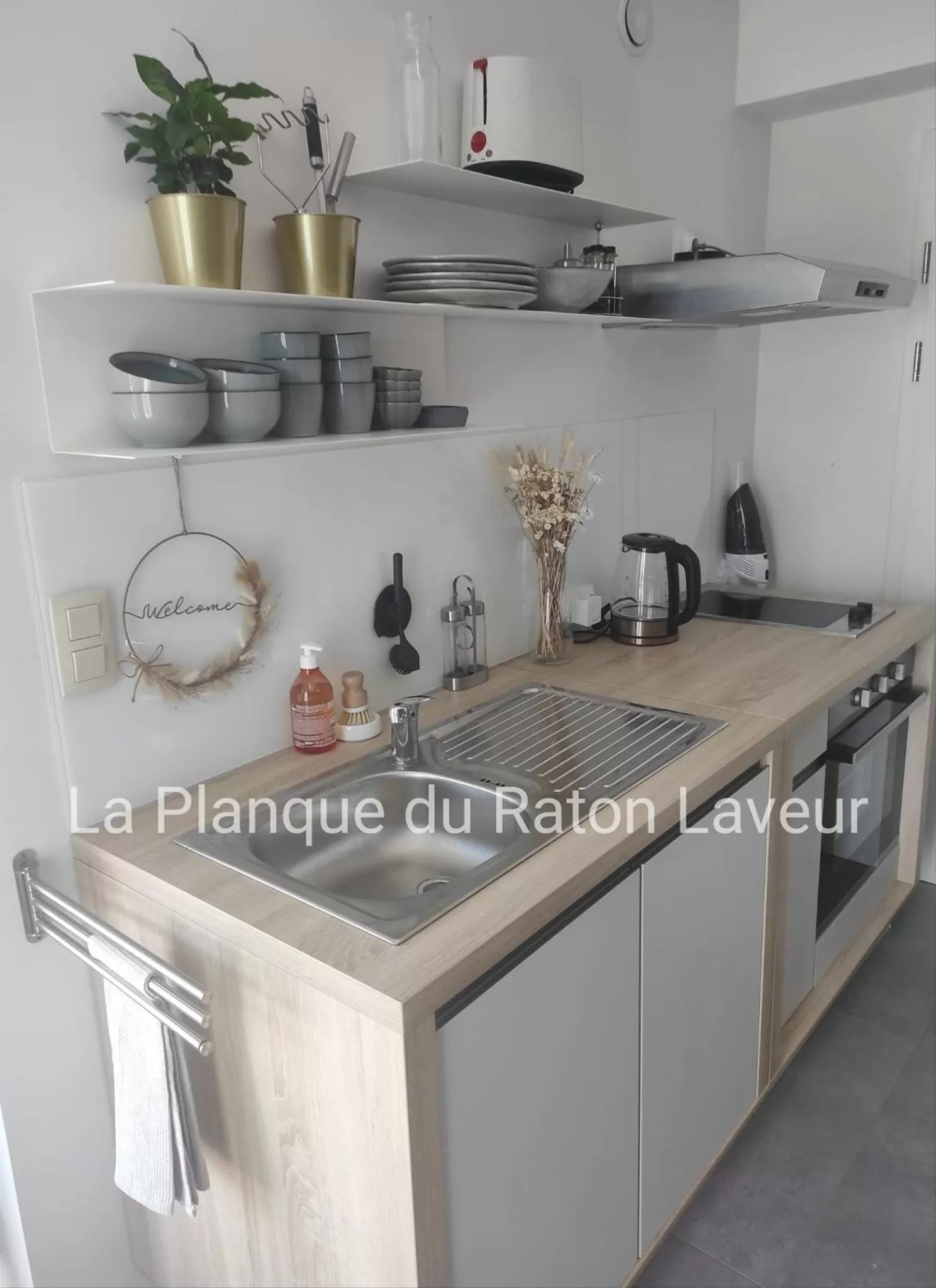 La planque du raton laveur