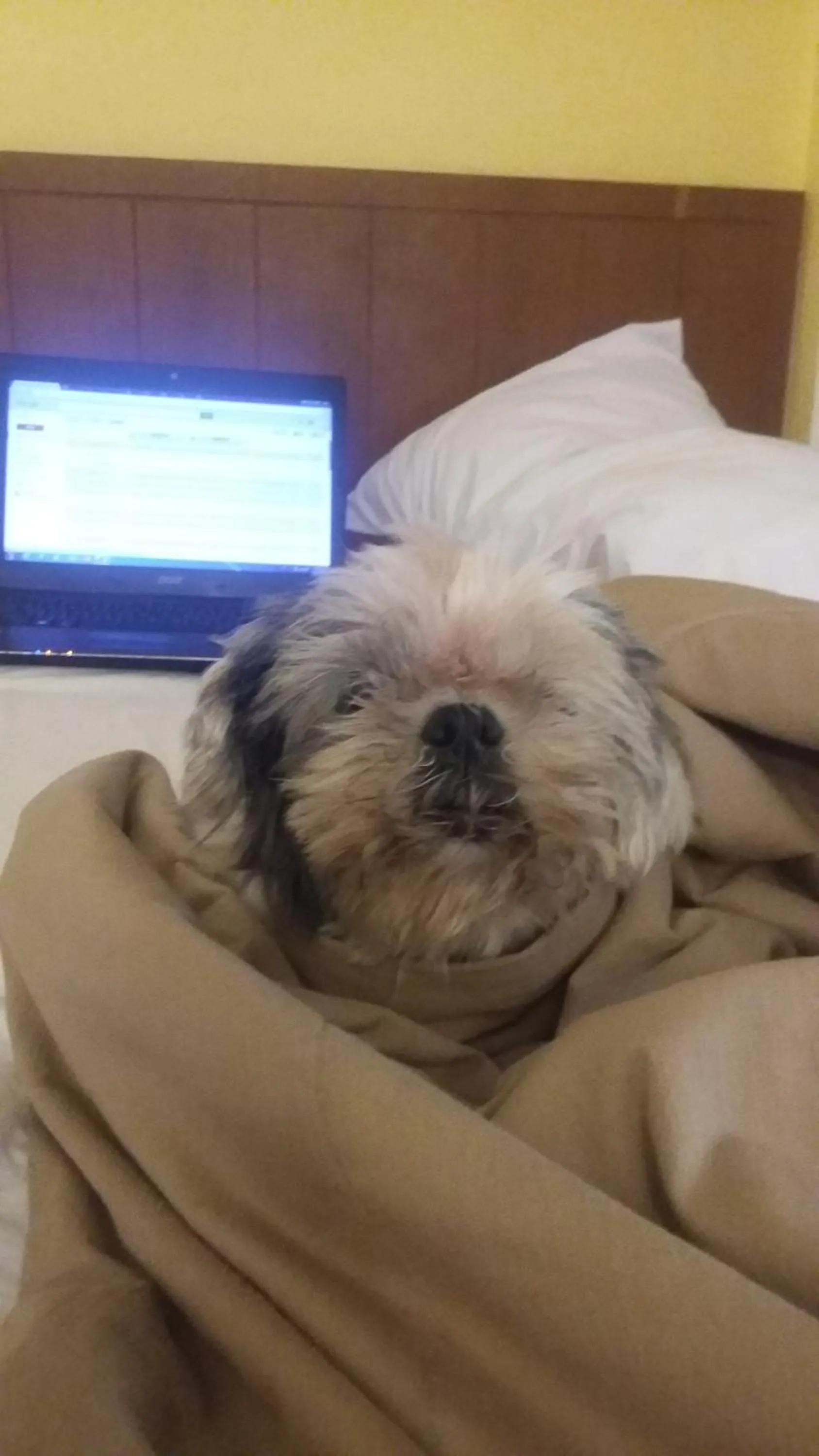 Vanlisut Hotel Ngamwongwan