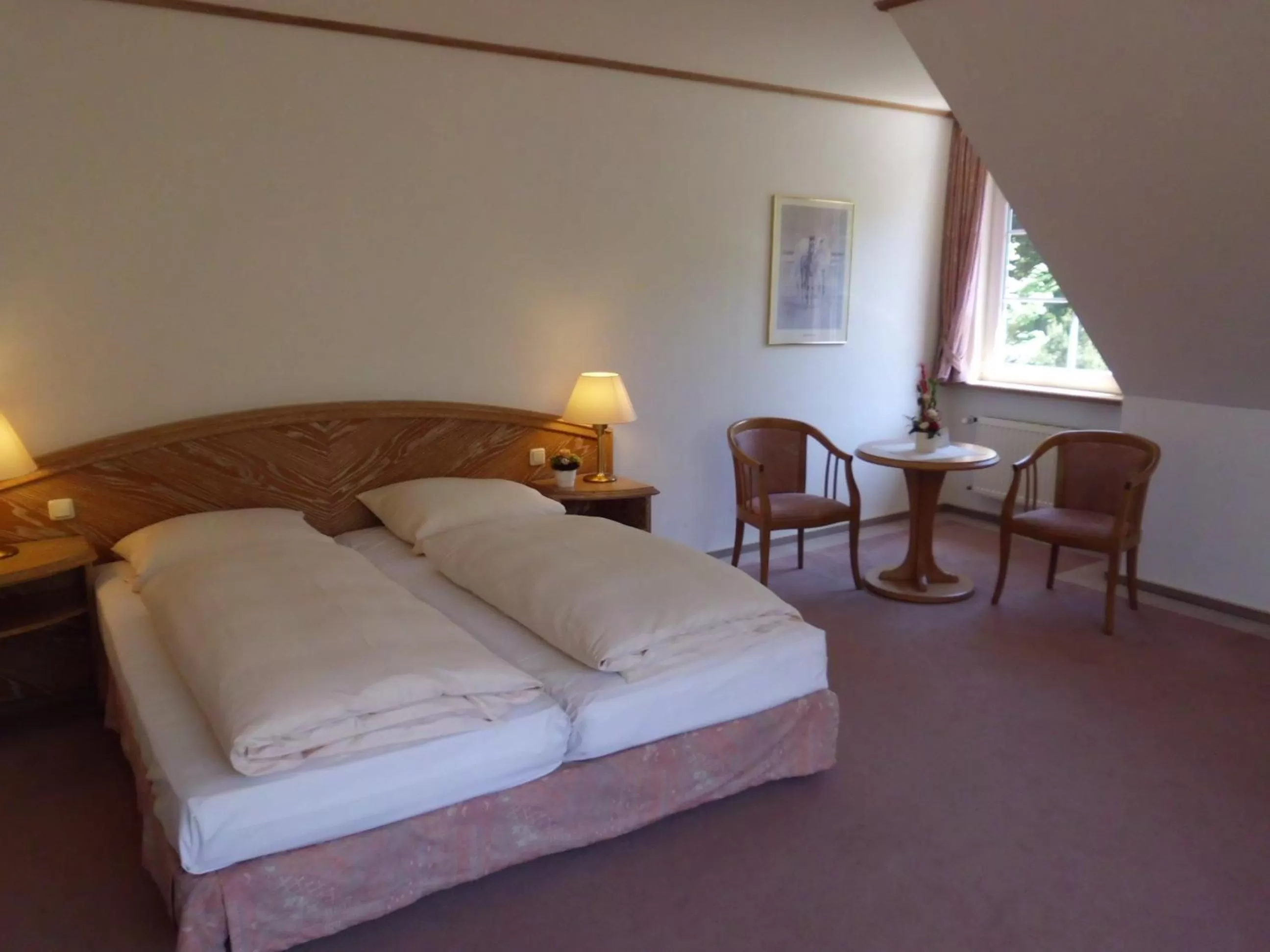 Bed in Hotel Hof Sudermühlen