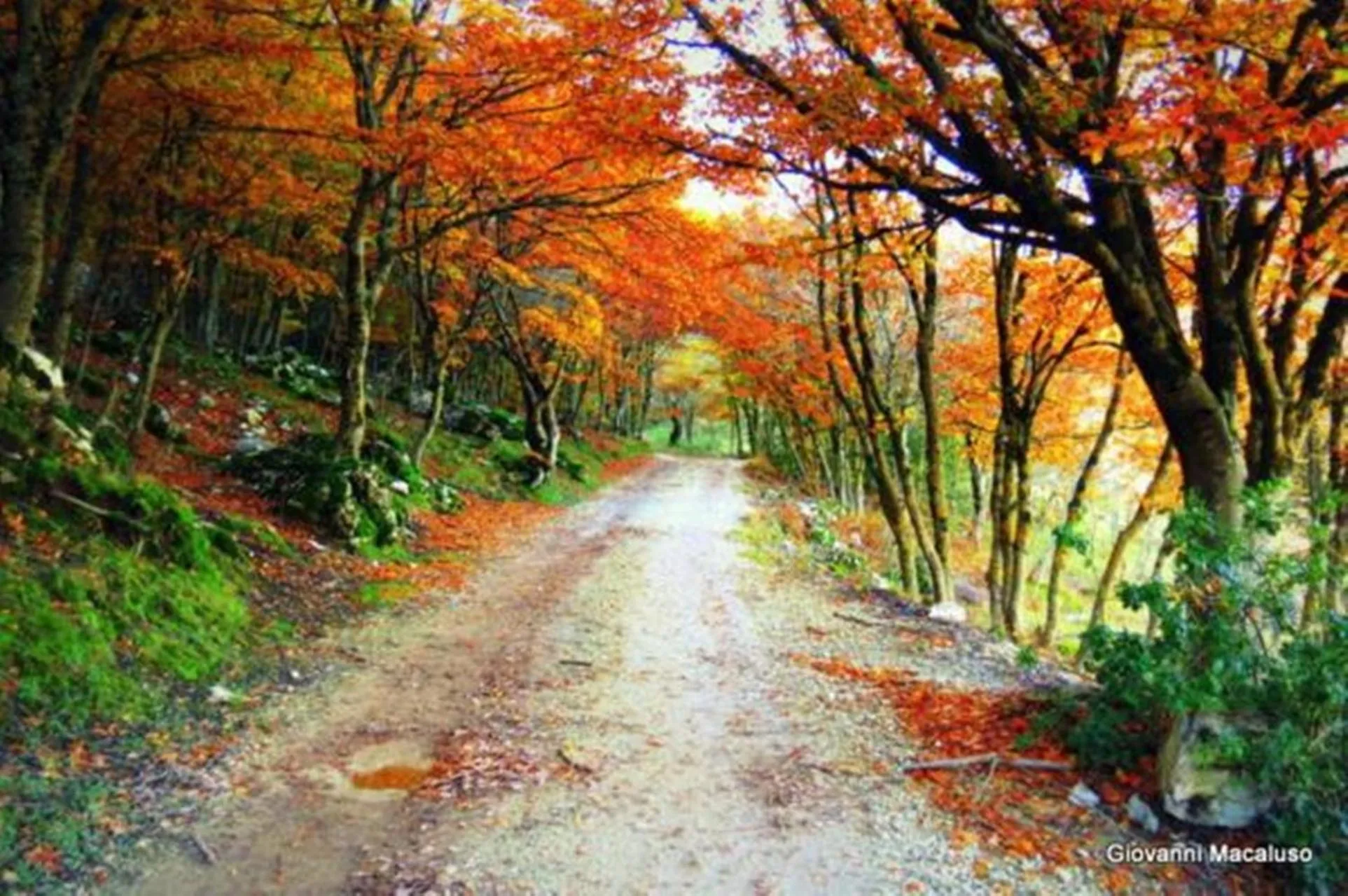 Hiking in Hotel Residenza Petra