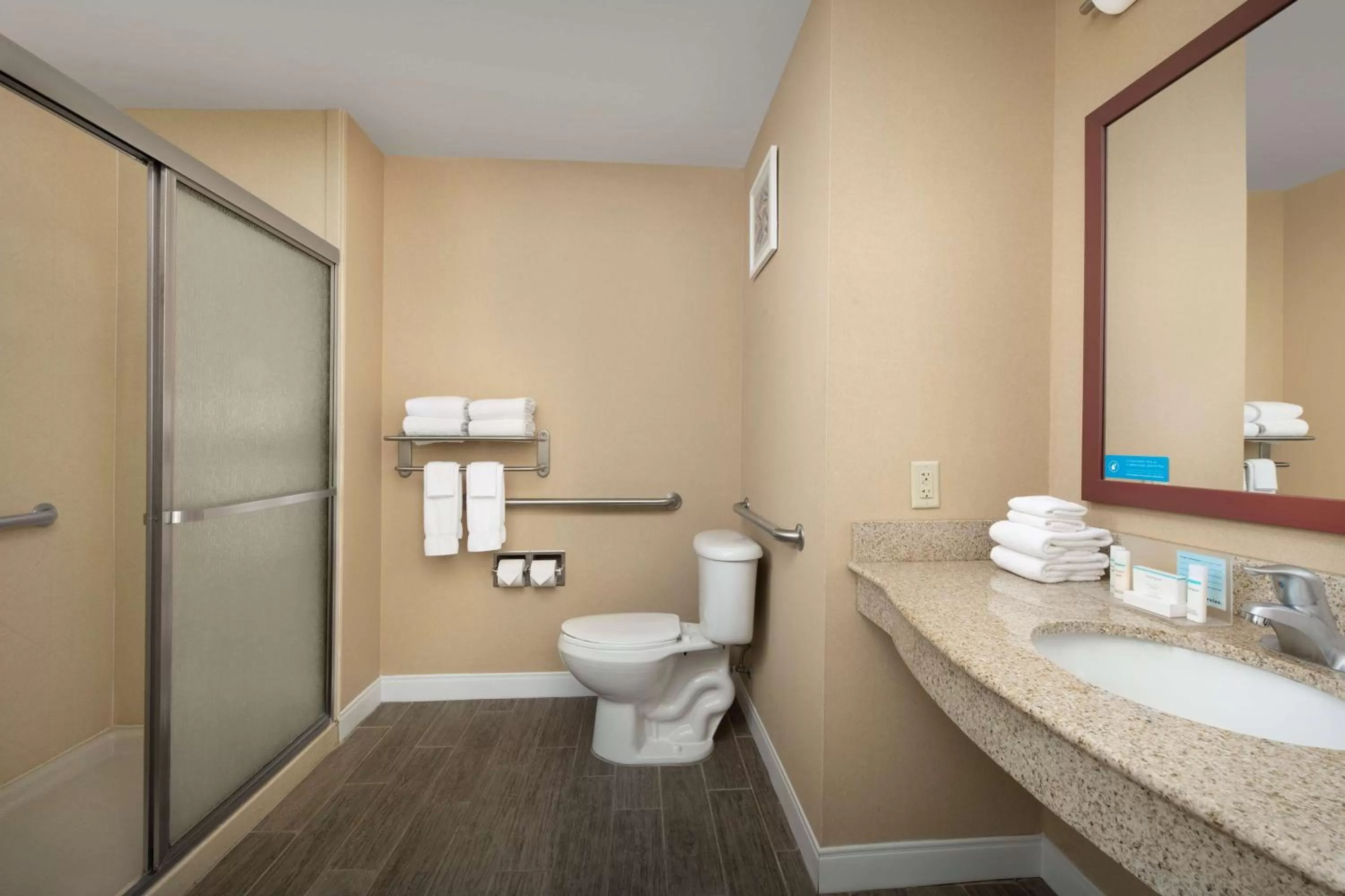 Bathroom in Hampton Inn & Suites Lakeland-South Polk Parkway